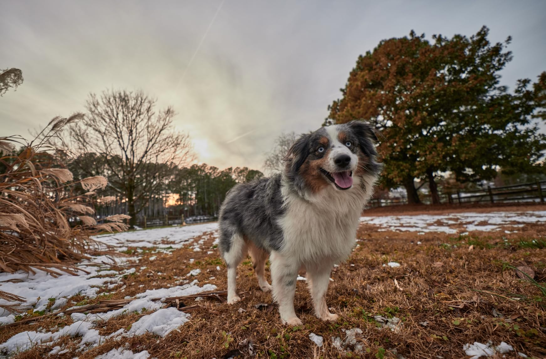 Rokinon AF 14mm F2.8 Ultra Wide Angle Lens for Canon EF Full Frame and APS-C - Weather Sealed, Fast Aperture, Quiet Autofocus, Built-in Hood, UMC Glass, Landscape, Architecture, Night Sky customer photo 2