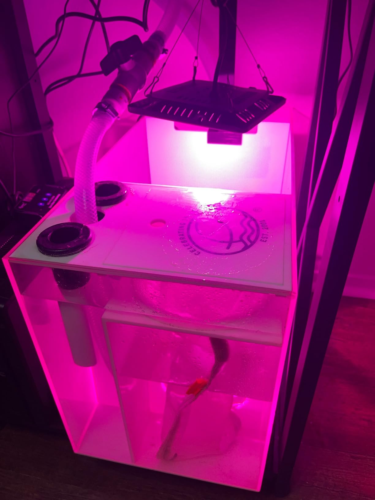 Full Spectrum LED Grow Lights for Indoor Plants, CANAGROW Waterproof COB Outdoor Grow Light, Plant Growing Lamps Refugium Light for Saltwater Aquarium, Heating Lamps for Plants Seeding, Veg, Blooming customer photo 2