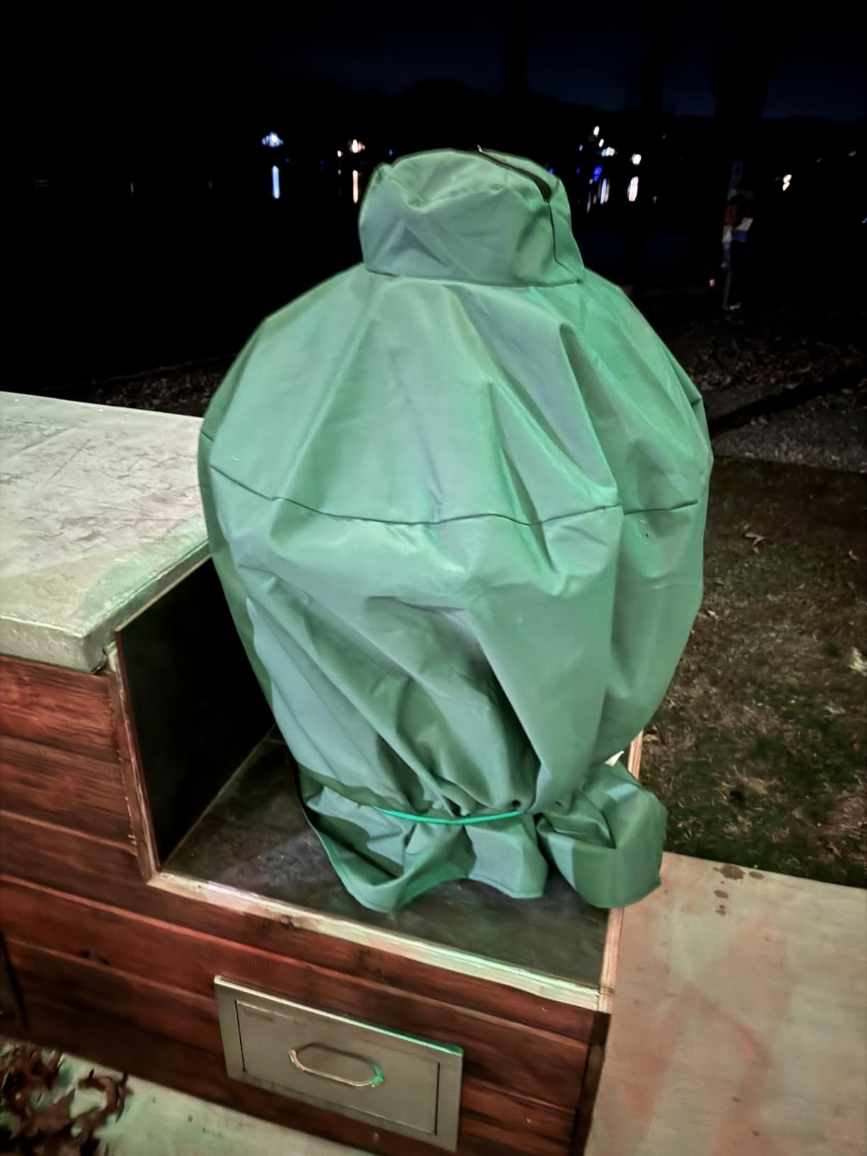 Mini Lustrous Cover Compatible with Large Big Green Egg, Ceramic Grill Cover Outdoor Grill Cover with Durable and Water Resistant Fabric, Large(Green) customer photo 1