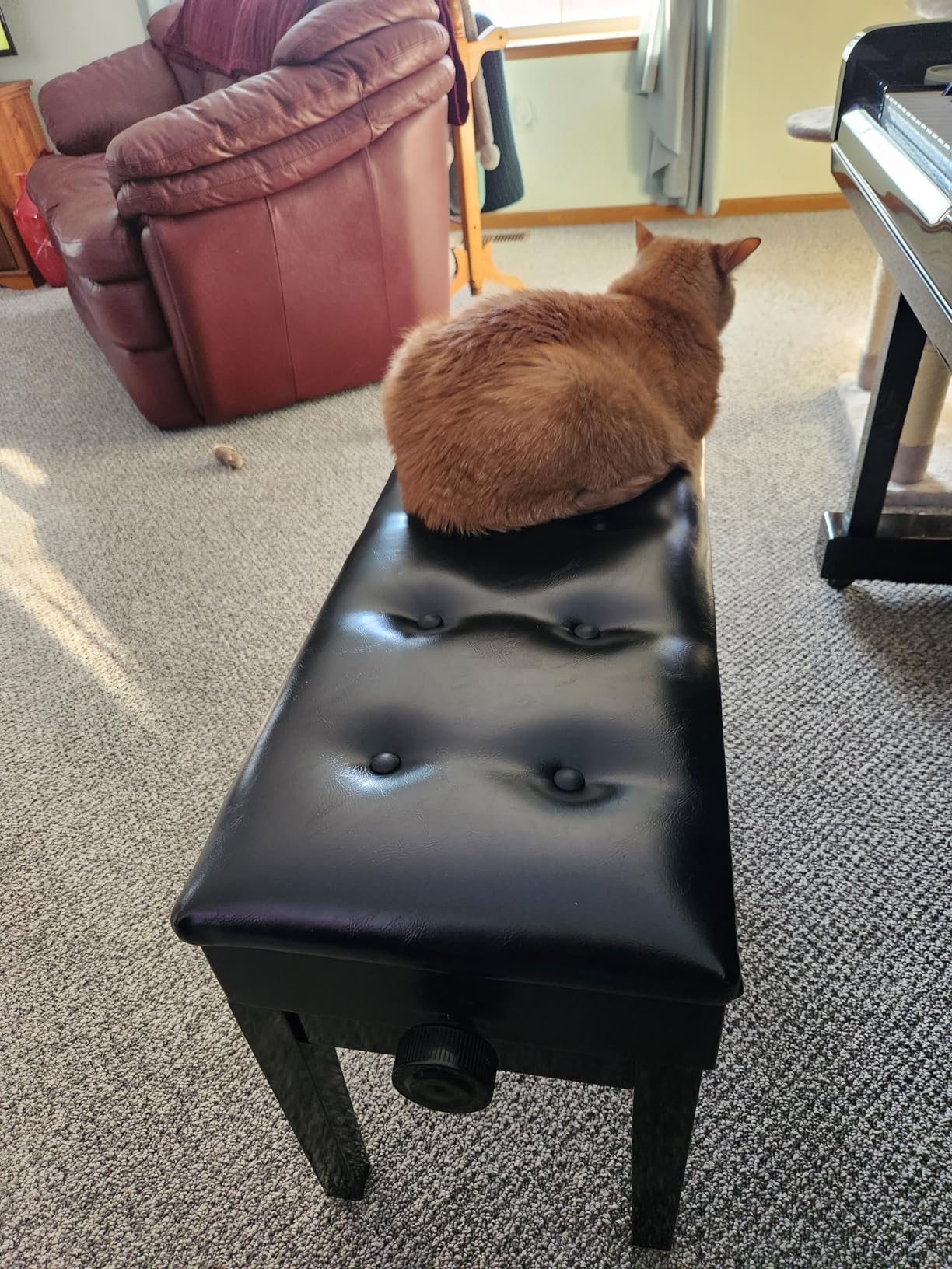 Bonnlo Adjustable Black Piano Bench with Storage Faux Leather Wooden Piano Stool with Padded Cushion customer photo 1