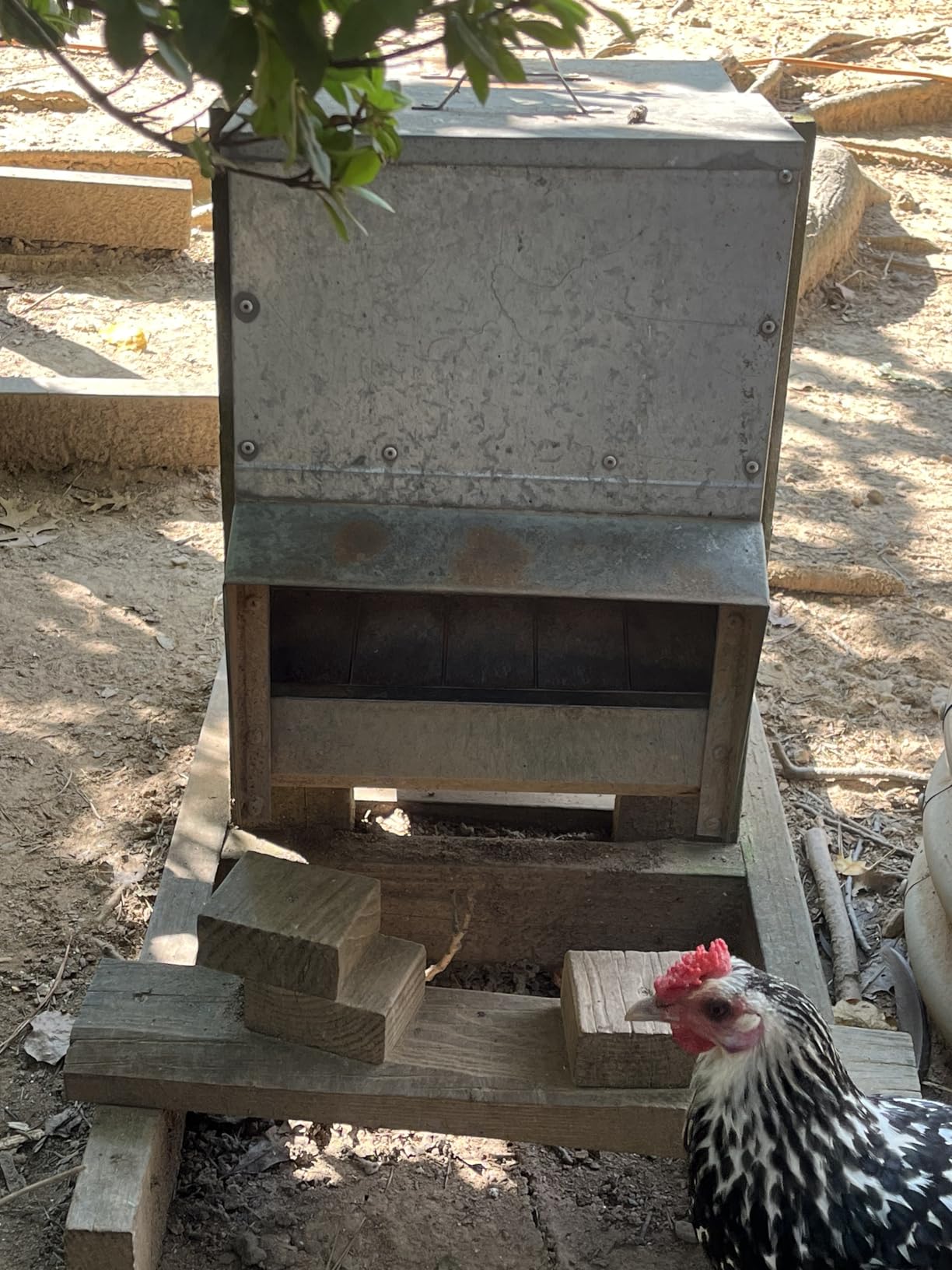 RentACoop Galvanized Chicken Trough Feeder, Weatherproof Poultry Food Dispenser with Lid 25LB Capacity customer photo 2