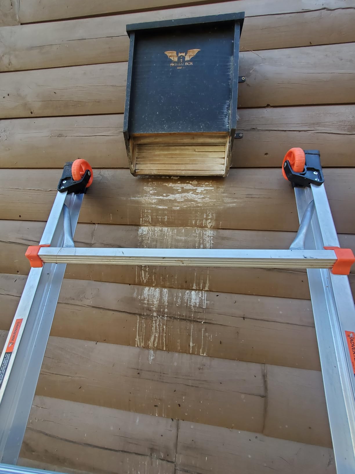 BIGBATBOX - Bat House for Outdoors - Clean Your Backyard from Mosquitoes - Wooden Bat House Kit - with Our Proven Bat Box Design, You are Almost Guaranteed to Attract Bats! WildYard customer photo 1