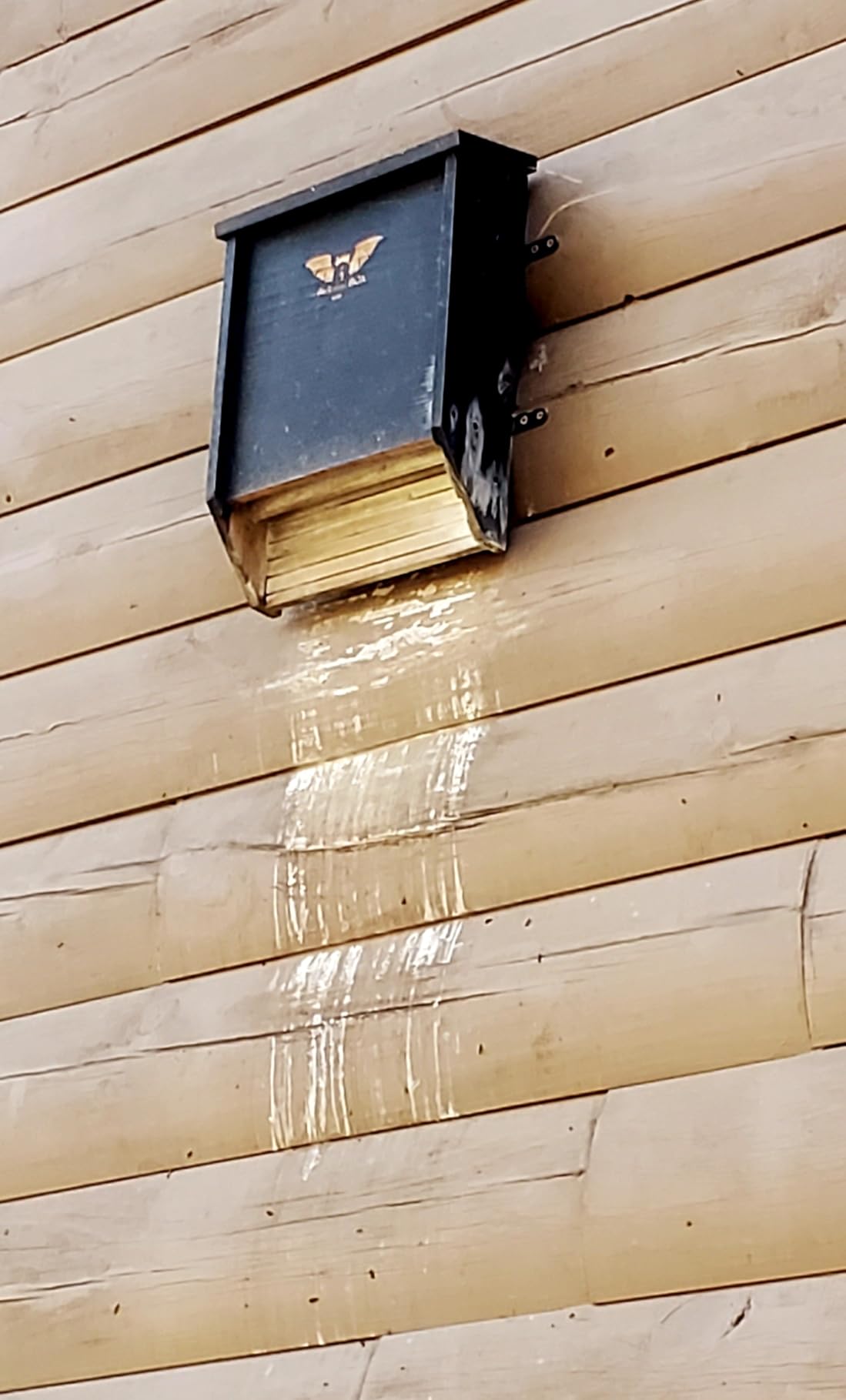 BIGBATBOX - Bat House for Outdoors - Clean Your Backyard from Mosquitoes - Wooden Bat House Kit - with Our Proven Bat Box Design, You are Almost Guaranteed to Attract Bats! WildYard customer photo 2