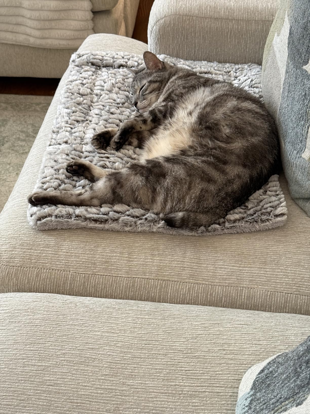 Self Heating Cat Pad Self Warming Bed 27.5