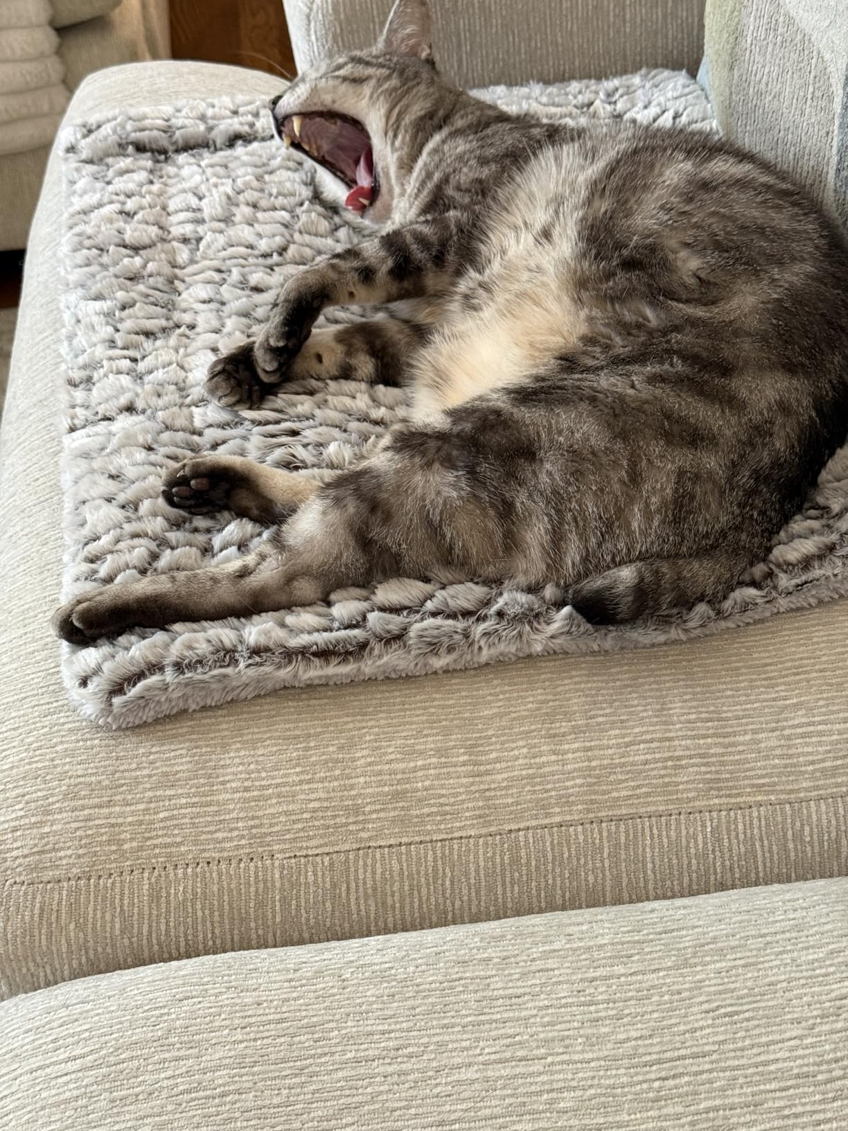 Self Heating Cat Pad Self Warming Bed 27.5