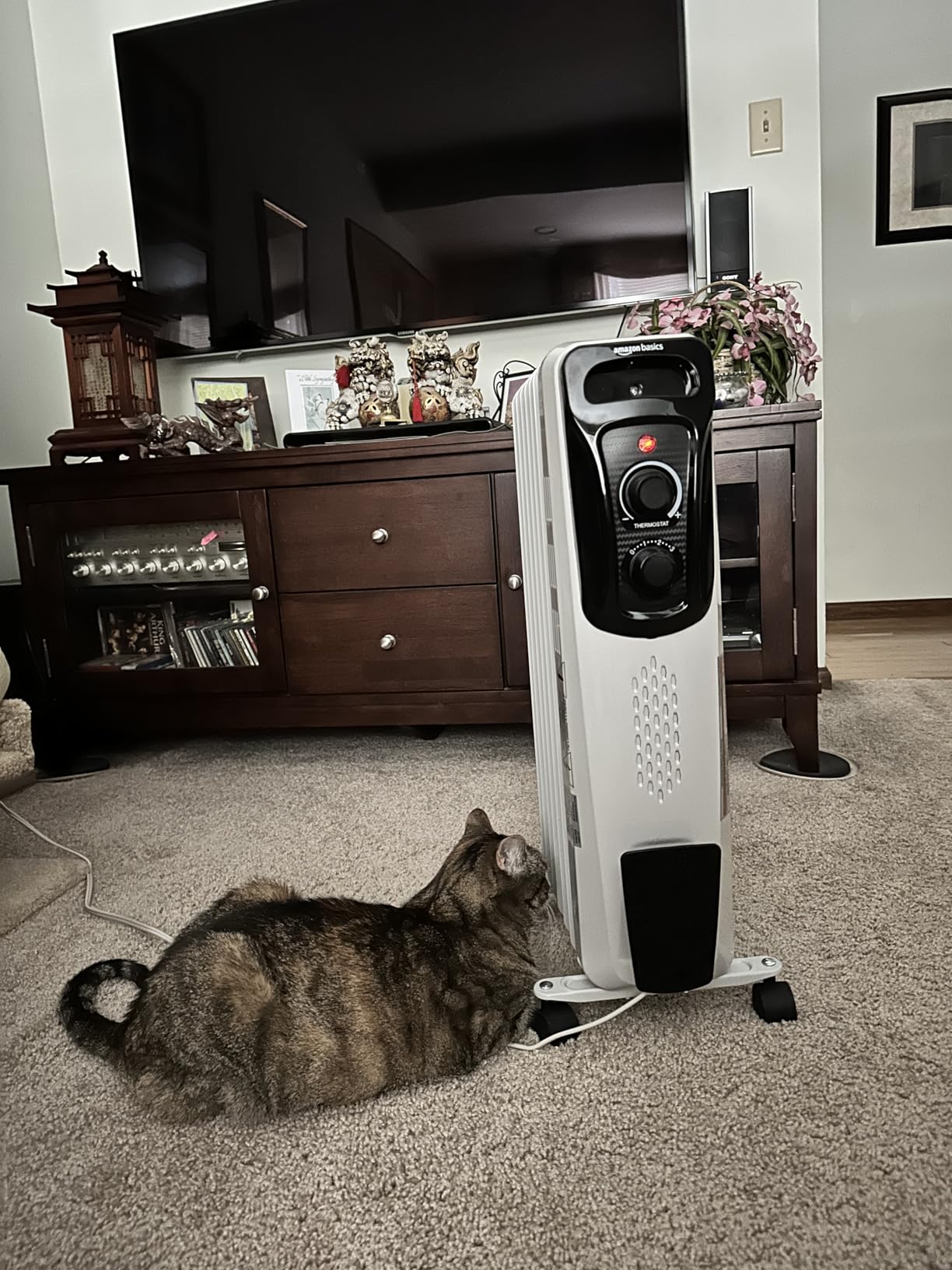 Amazon Basics Portable Oil Radiator Heater, Indoor Use, 3 Heat Settings, Over-Heat Protection, ETL-certified Safety, 7 Oil-Filled Steel Fins, 1500W, Tip-Over Protection, White customer photo 1