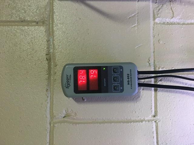 hygger Pinpoint Saltwater Aquarium Heater with Digital Thermostat IC Temp Controller, Titanium Tube Submersible Fish Tank Heater for Coral Reef 200 Watt customer photo 1