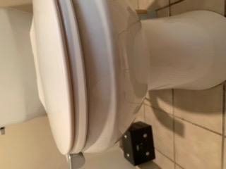 Brondell Bidet Attachment for Toilet SS-250 SimpleSpa Fresh Water Spray with Adjustable Water Pressure Side Arm Control, Slim Bidet Sprayer customer photo 2