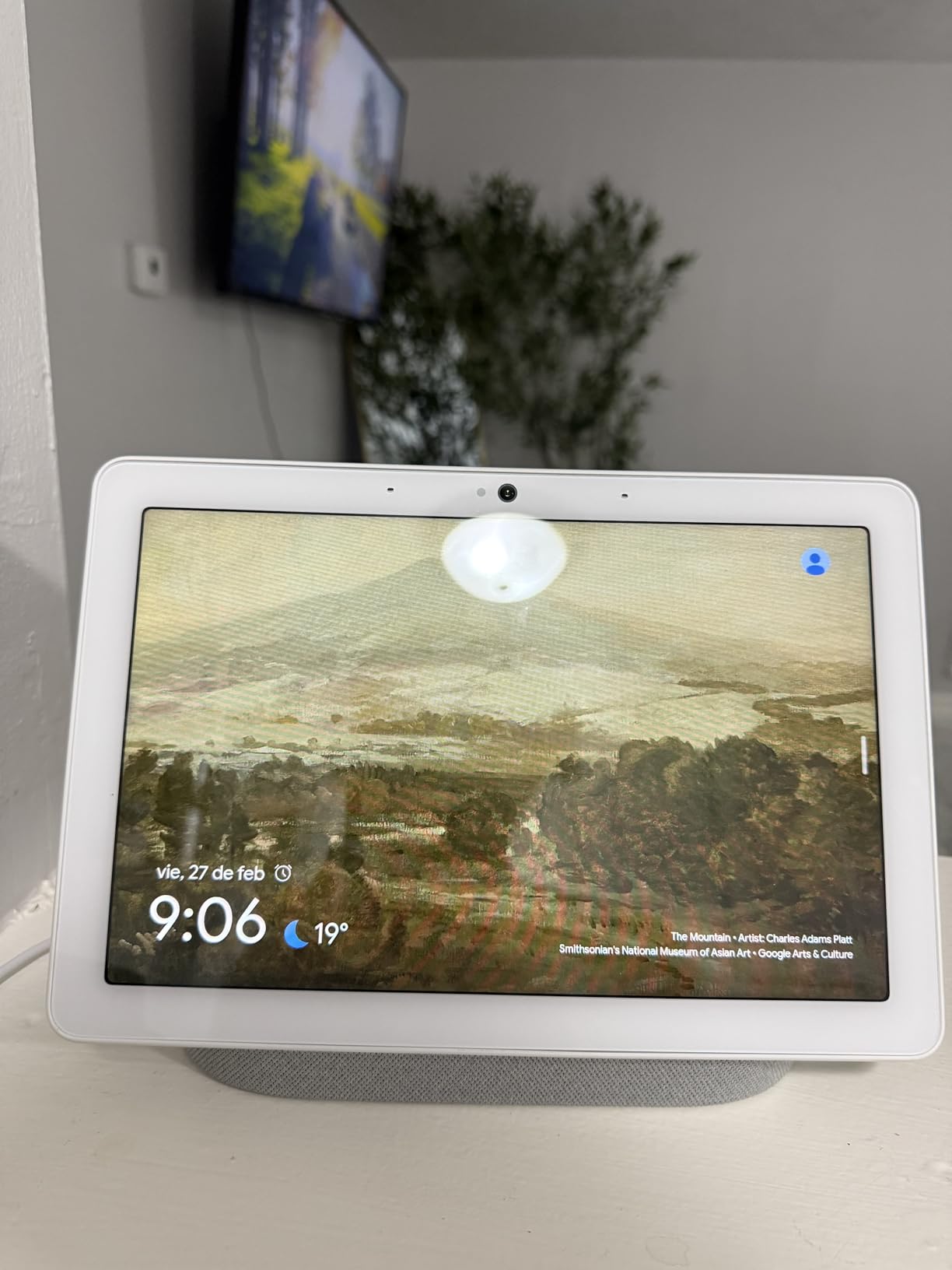 Nest Hub Max 10
