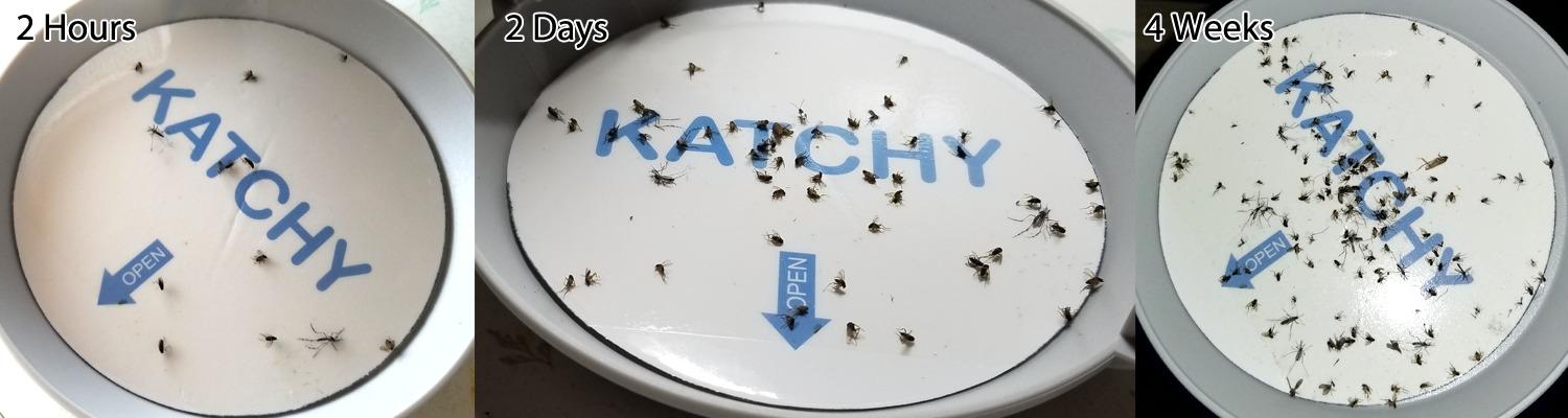 Katchy Indoor Fly Trap- Catcher & Killer for Mosquito, Fruit Fly, Gnat & Small Moth - Non-Zapper Trap with Fan Suction & Blue UV Light - Ideal for Indoor Spaces, Kitchen & Plants (Original, White) customer photo 2