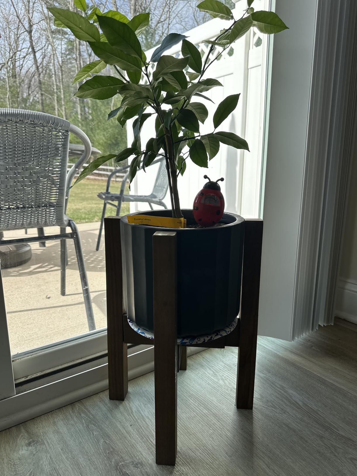 Mid Century Plant Stand - Solid Wood Handmade with Acacia - Fits Medium & Large Pots Sizes 8 to 12 inches customer photo 1
