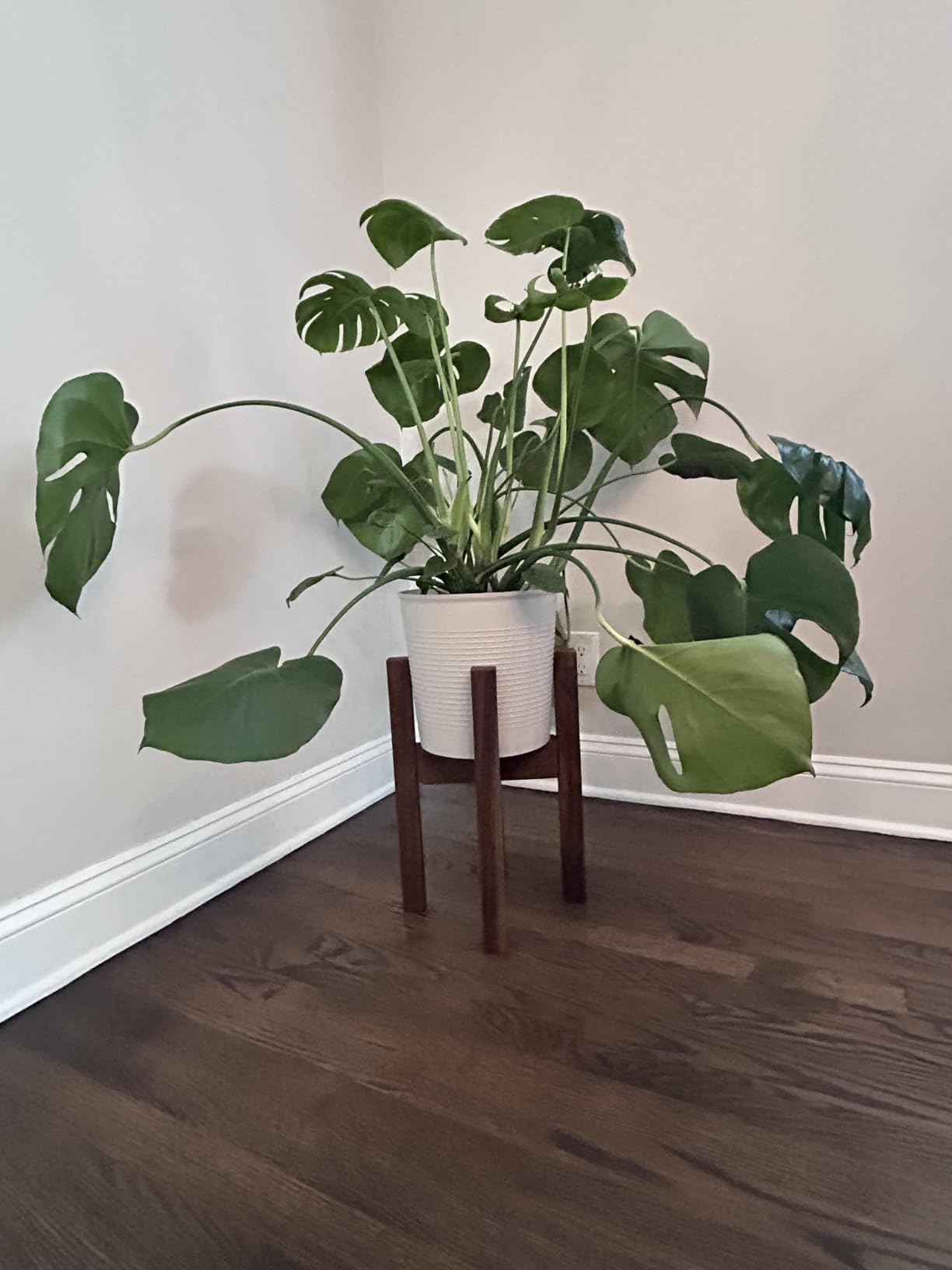 Mid Century Plant Stand - Solid Wood Handmade with Acacia - Fits Medium & Large Pots Sizes 8 to 12 inches customer photo 2