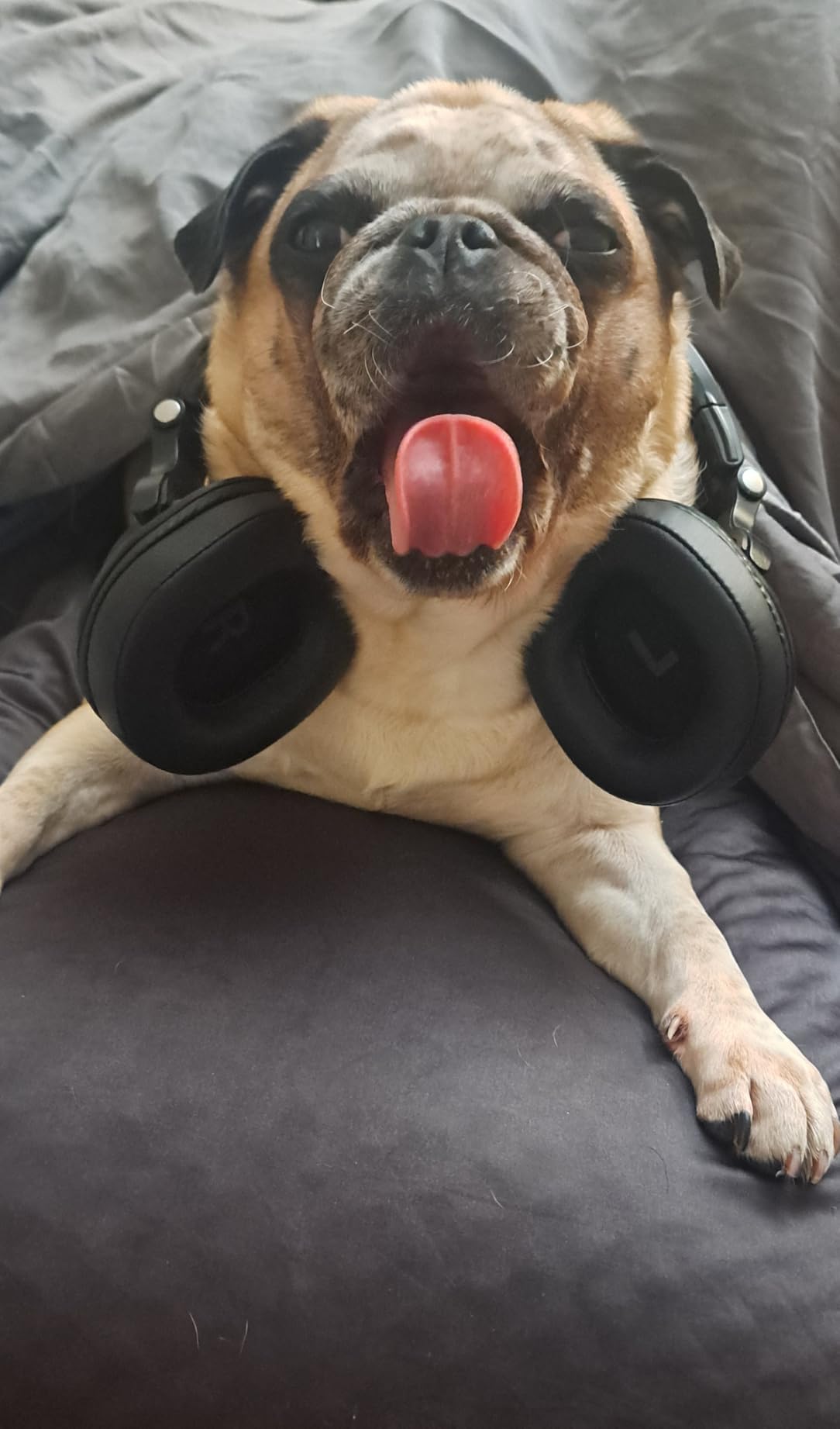 OneOdio A70 Bluetooth Over Ear Headphones, Wireless Headphones with 72H Playtime, Hi-Res, Built-in Mic, 3.5mm/6.35mm Wired Audio Jack for Studio Monitor & Mixing DJ Guitar AMP, Computer PC Gaming customer photo 1