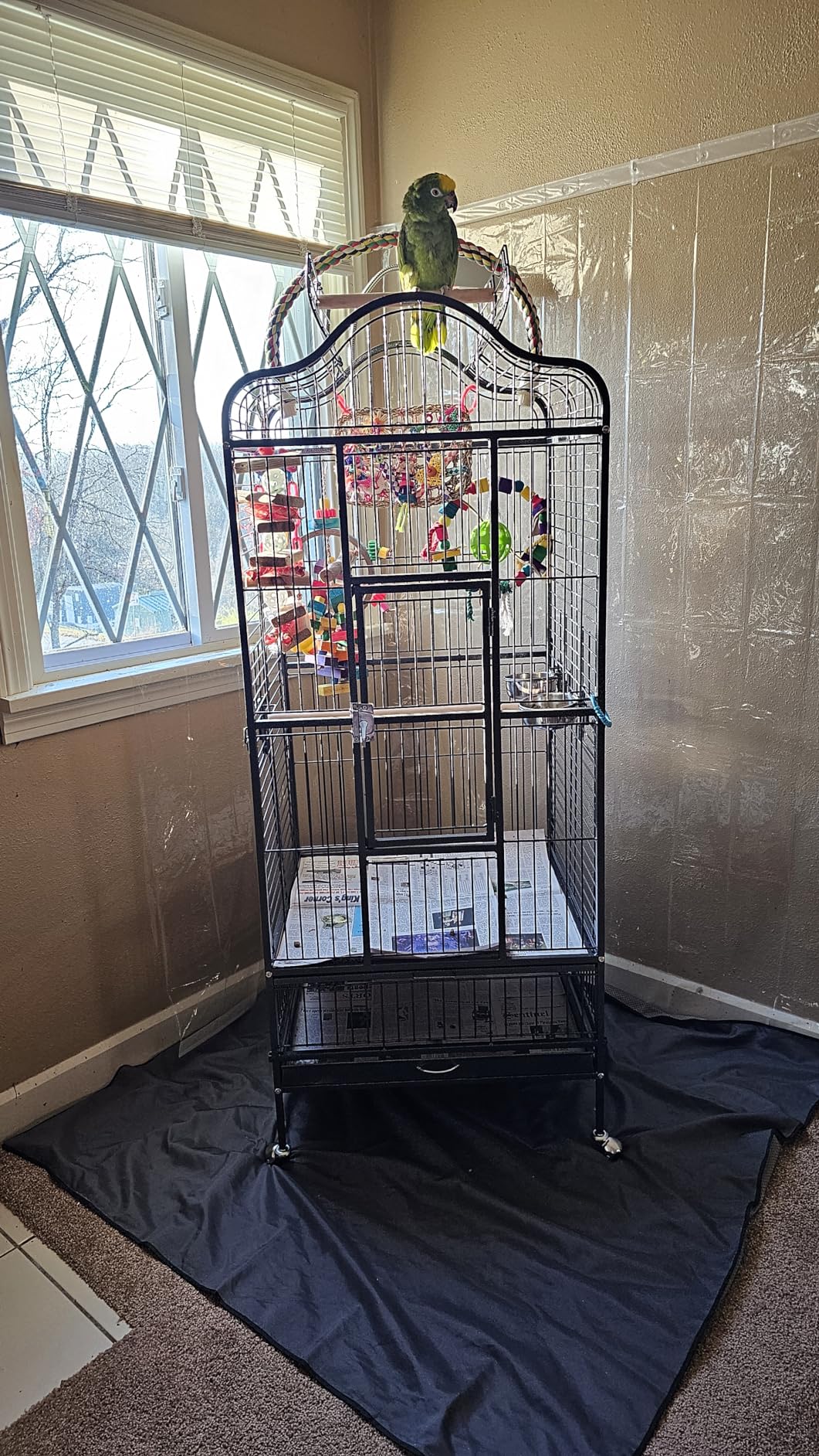 Yaheetech 63'' Bird Cage with Stand Wrought Iron Rolling Open Play Top Large Bird Cage for Mini Macaw African Grey Amazon Parrot customer photo 2