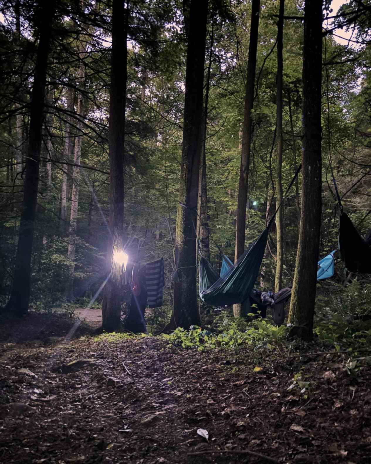 Covacure Camping Hammock - Lightweight Double Hammock, Hold Up to 772lbs, Portable Hammocks for Indoor, Outdoor, Hiking, Camping, Backpacking, Travel, Backyard, Beach customer photo 2