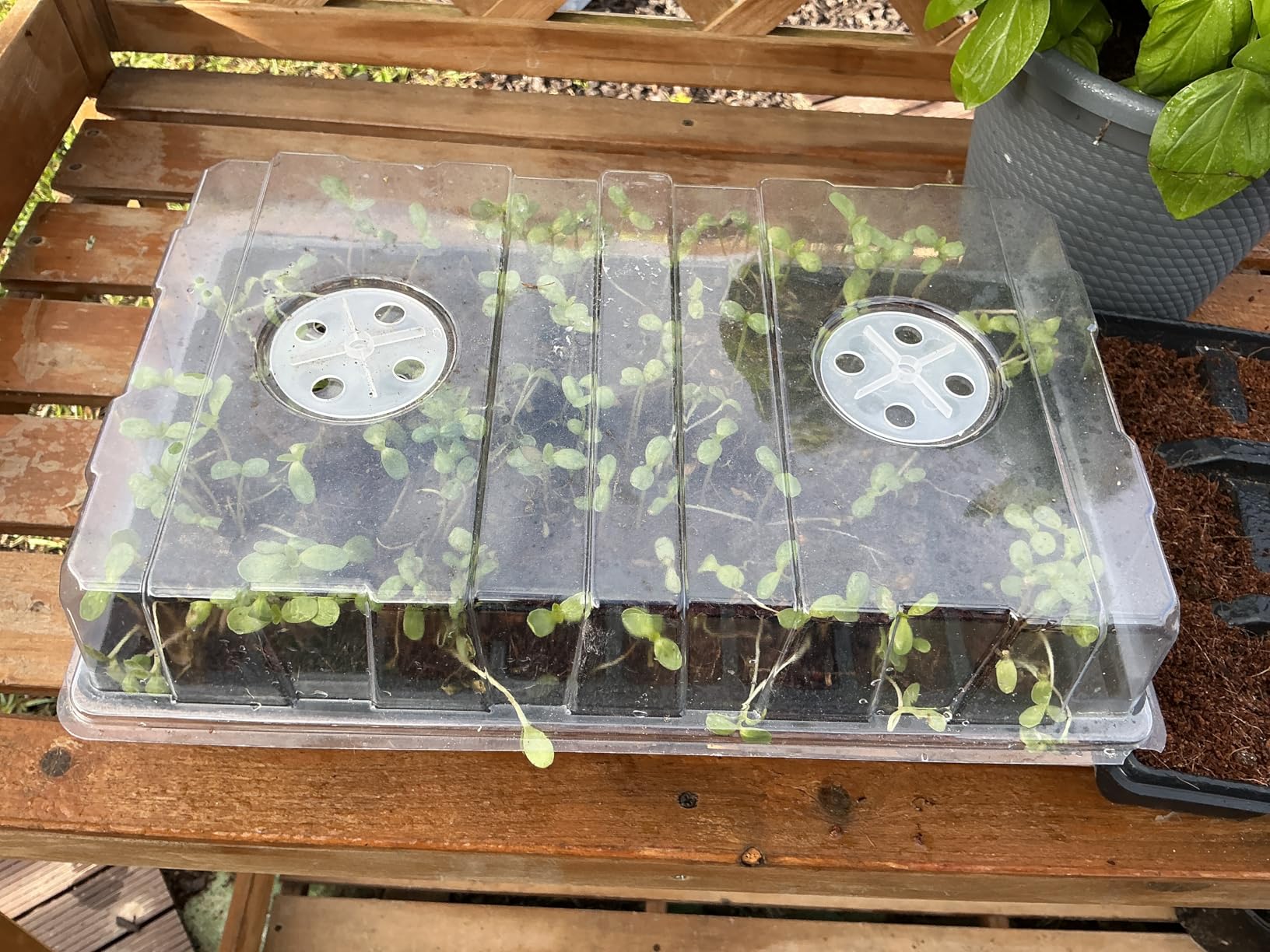 Gardzen 5-Set Seed Starter Tray Kits, Durable Plant Germination Trays with Humidity Vented Domes and Bases (Total 200 Cells) customer photo 1