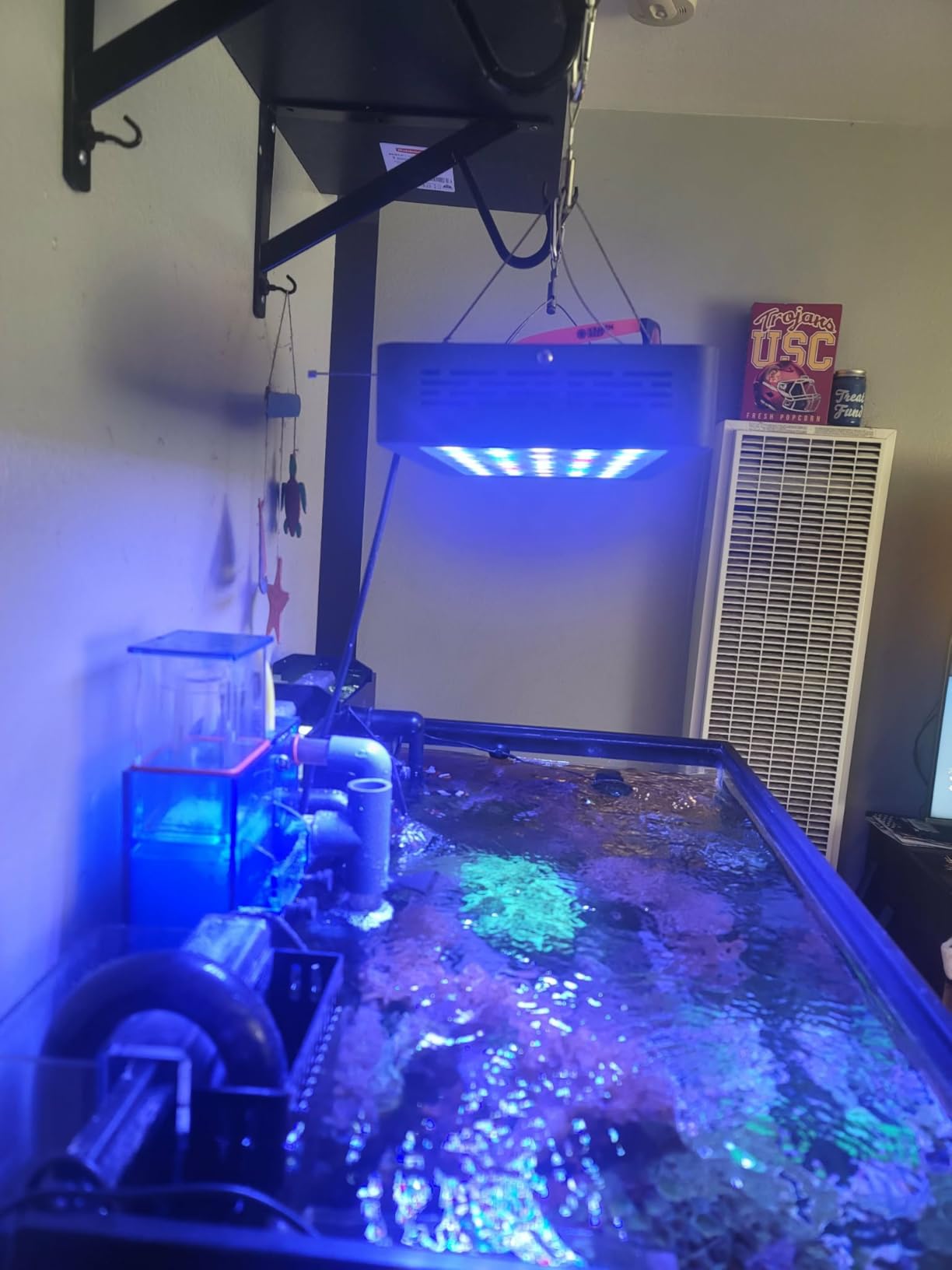 VIPARSPECTRA 165W LED Aquarium Light Dimmable Full Spectrum LED Reef Lights for Coral Saltwater Fish Tank, Remote/Timer Control, Programmable Auto On/Off, Blue/White Dual Channel Brightness 0-100% customer photo 2