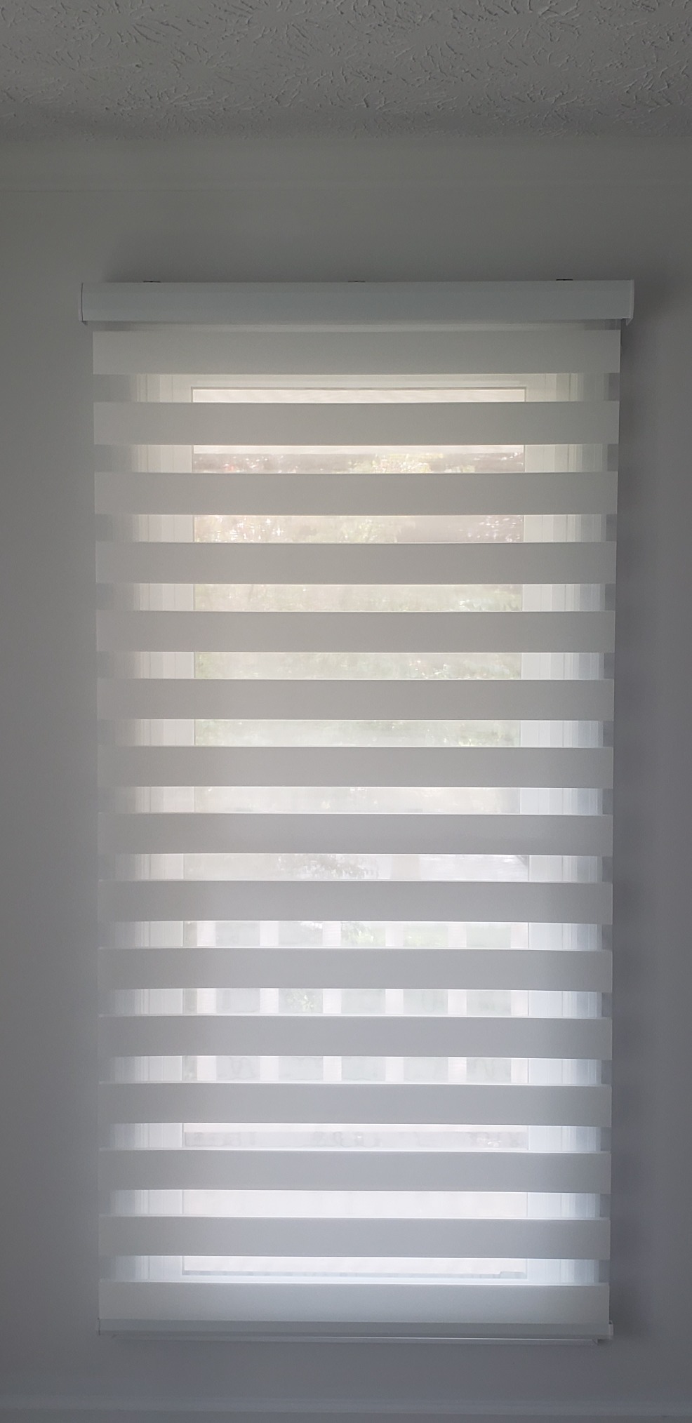 Graywind Motorized Blinds with Remote, Smart Zebra Shades for Windows, Roller Blinds Compatible with Alexa, Apple Homekit, Google Home, Custom Size, Classic - Grey customer photo 1