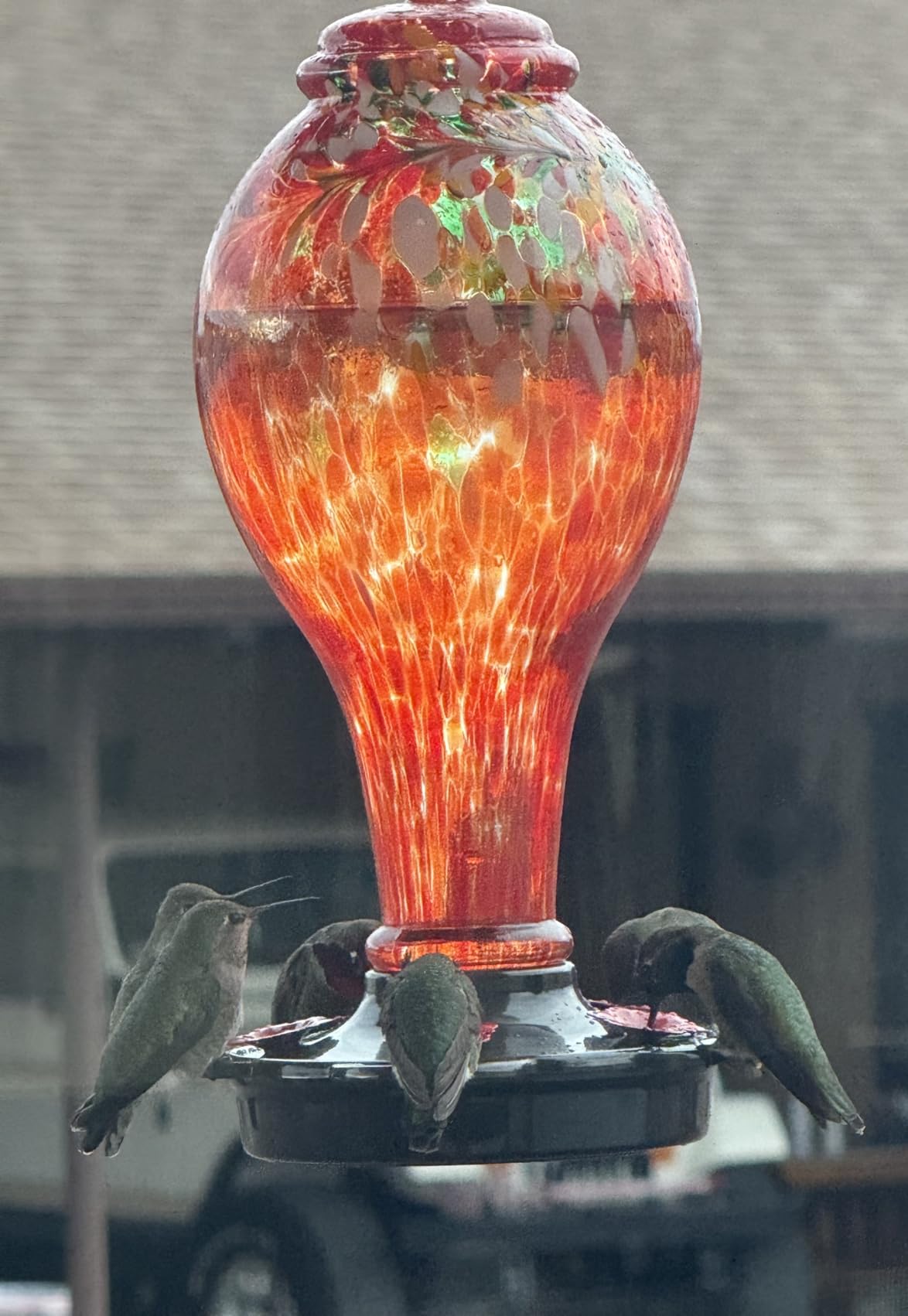 LUJII Hummingbird Feeder, Hand Blown Glass, 36 Fluid Ounces, 5 Feeding Metal Stations, Garden Backyard Decorative, Blue customer photo 1