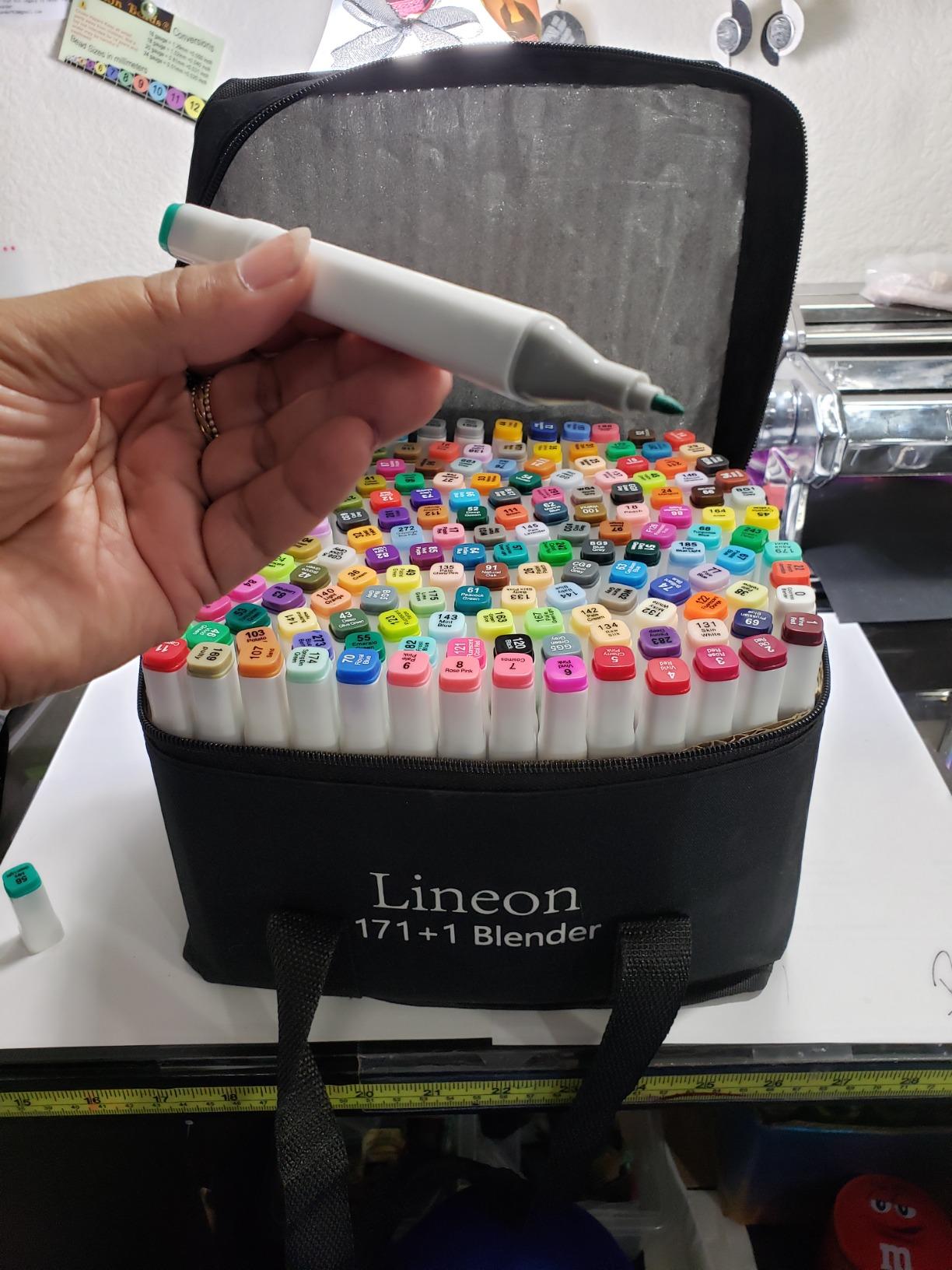 Dual Tip Alcohol Based Art Markers, Lineon 30 Colors Alcohol Marker Pens Perfect for Kids Adult Coloring Books Sketching and Card Making customer photo 1