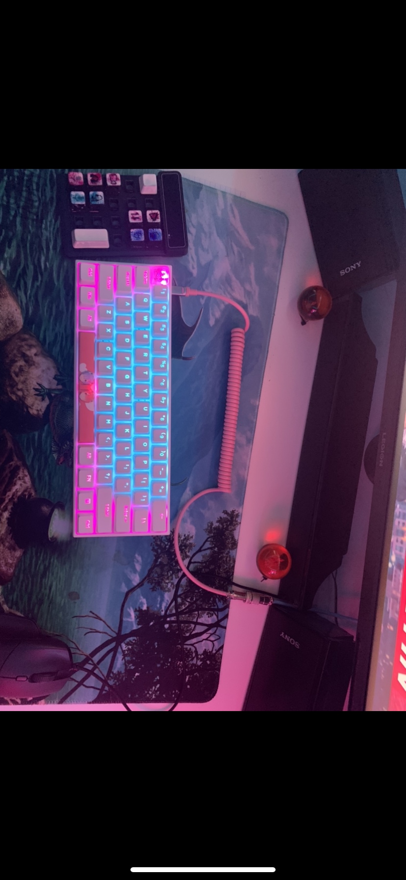 Anne Pro 2 Mechanical Gaming Keyboard 60% True RGB Backlit - Wired/Wireless Bluetooth 5.0 PBT Type-c Up to 8 Hours Extended Battery Life, Full Keys Programmable (Gateron Blue, White) customer photo 1