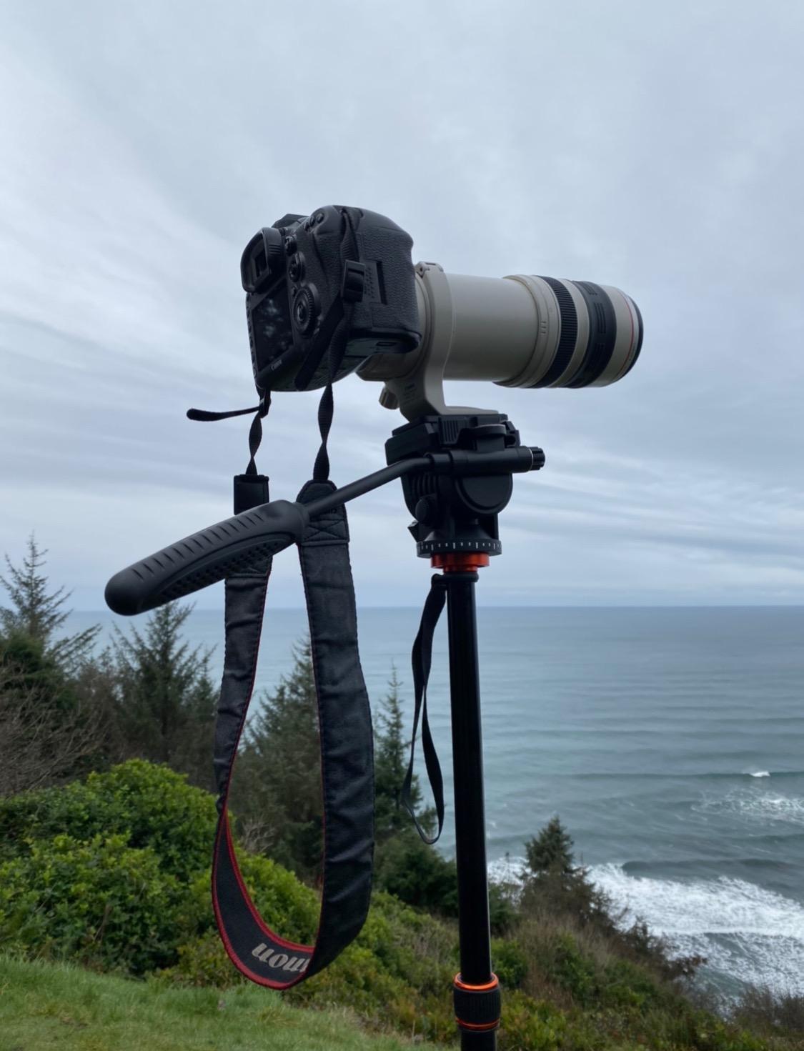 GEEKOTO Video Tripod Fluid Head, Professional Camera Tripod for DSLR, Monopod Aluminum 77