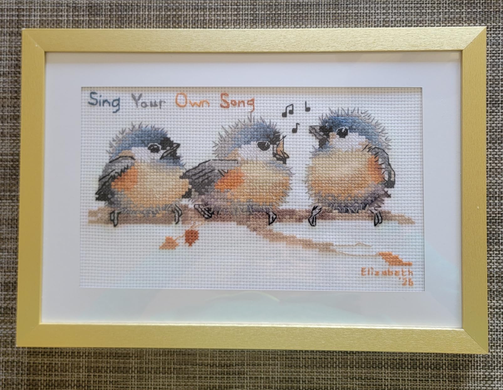 Cross Stitch Kits, Three Birds Awesocrafts Easy Patterns Cross Stitching Embroidery Kit Supplies Christmas Gifts, Stamped or Counted (Birds, Stamped) customer photo 1