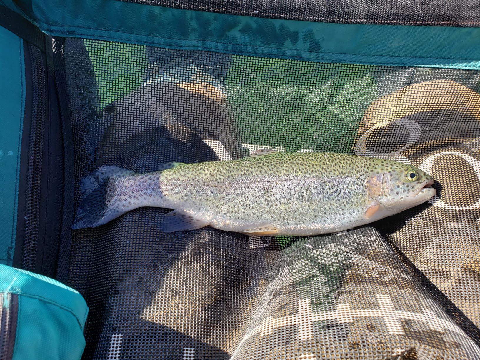 DRAGONtail MIZUCHI zx340 Zoom Small Stream 3 Length Tenkara Rod customer photo 2