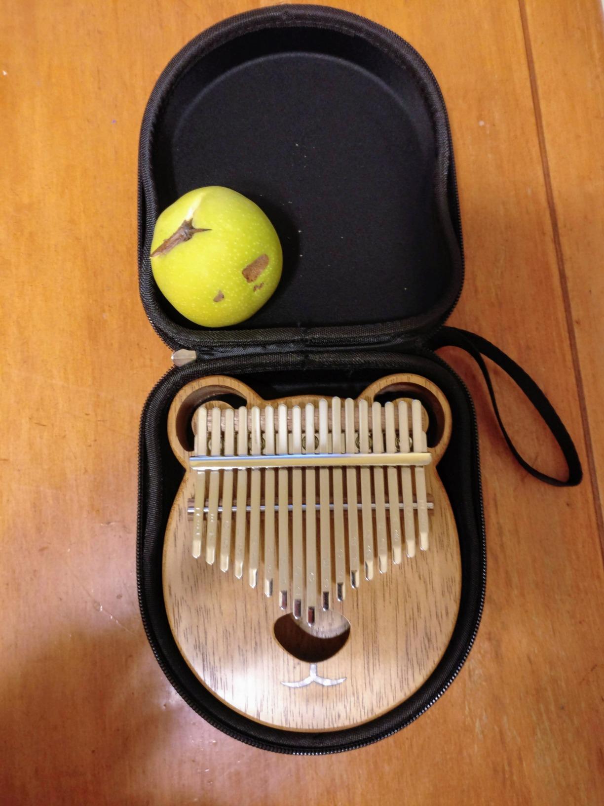 Kalimba Thumb Piano, AKLOT 17 Keys Transparent Acrylic Cat Note Carved Starter Finger Piano with Kalimba Case customer photo 1