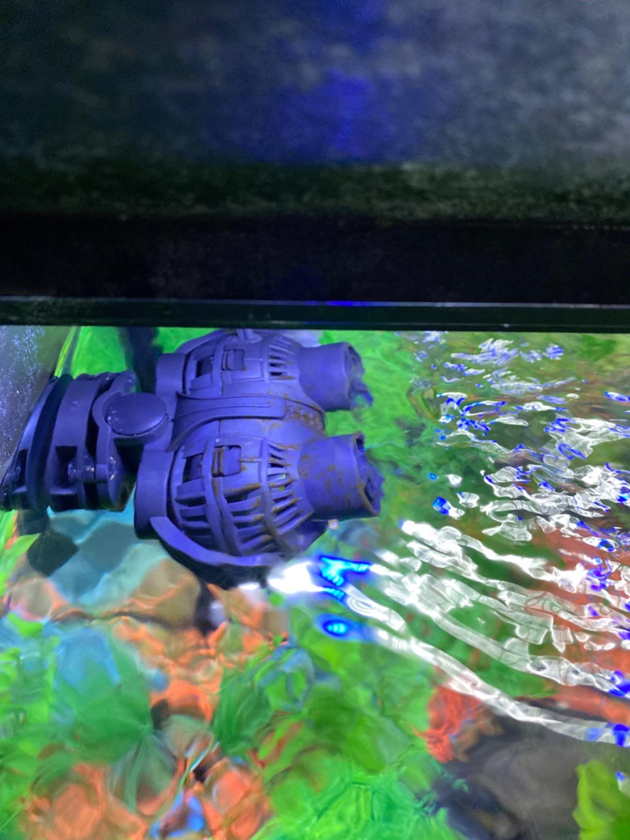 FREESEA Aquarium Circulation Pump Wave Maker Power Head with Magnetic Mount Suction for 20-75 Gallon Saltwater Freshwater Tank (1600 GPH, Black) customer photo 1