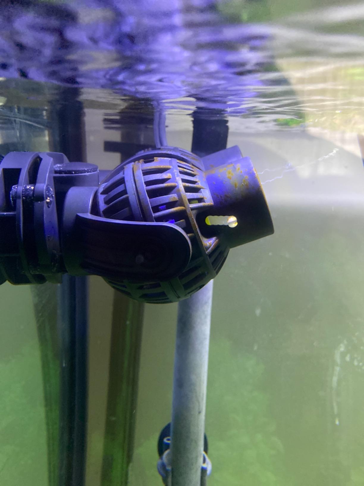 FREESEA Aquarium Circulation Pump Wave Maker Power Head with Magnetic Mount Suction for 20-75 Gallon Saltwater Freshwater Tank (1600 GPH, Black) customer photo 2
