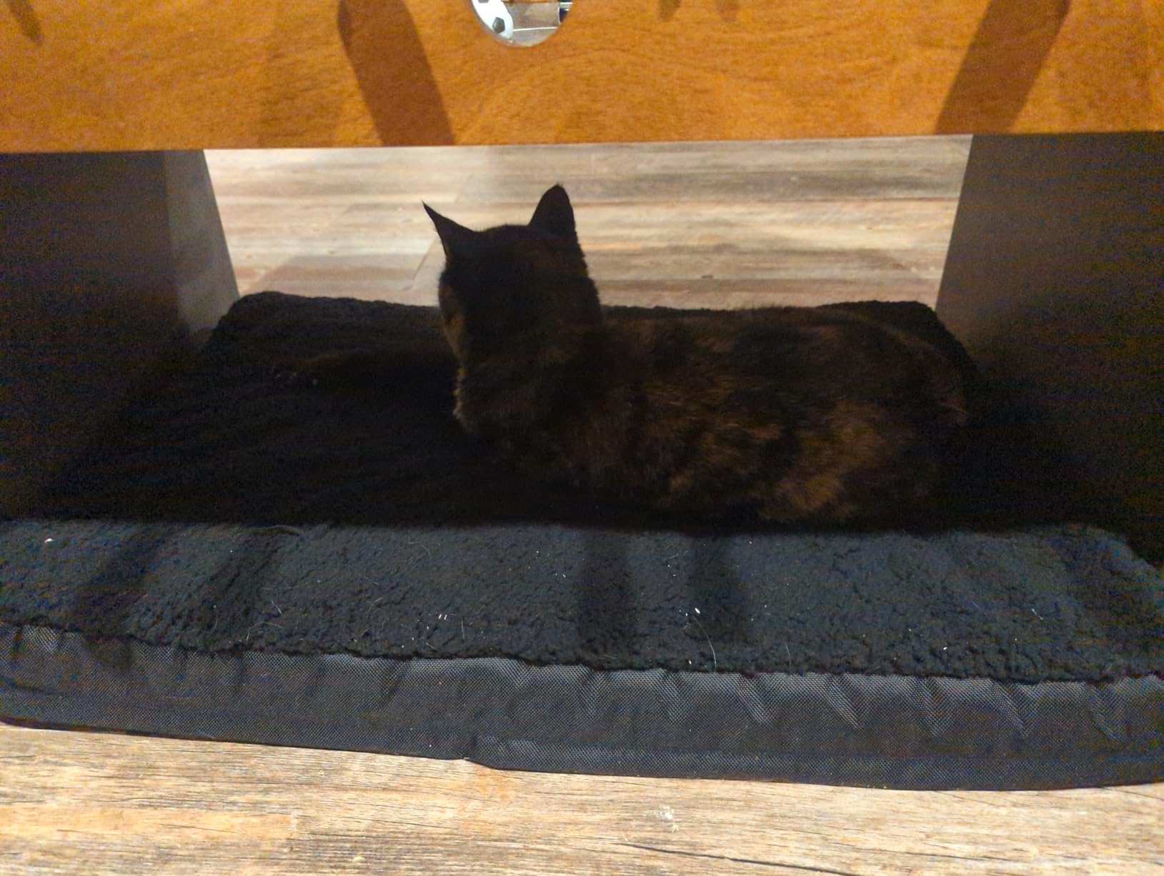 Bedsure Dog Beds Large Sized Dog - Comfy Flat Pet Beds with Removable Washable Cover, Orthopedic Egg Crate Foam Puppy Mat, Suitable for Pet Up to 65 lbs customer photo 2