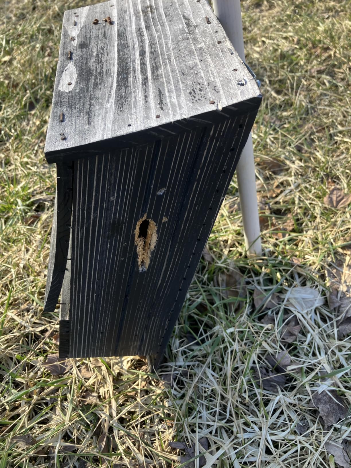 Japanese Cedar Bat House Habitat: Three Chambers, Weatherproof, Easy Install, Brown customer photo 1