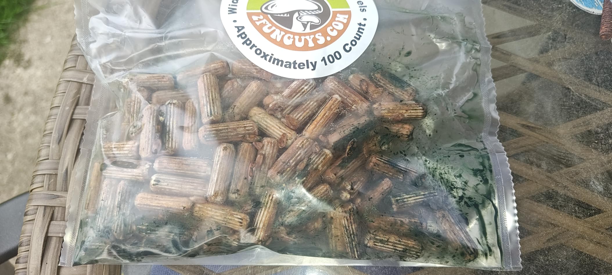 2funguys Lion's Mane Dowel Spawn 100 Count Mushroom Tooth Fungus Plug customer photo 2