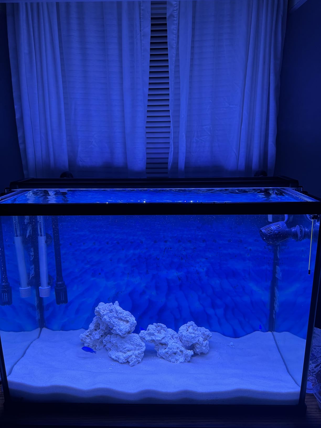 NICREW 20W Saltwater Aquarium Light, Marine LED Reef Light for Corals, Programmable Timer Controller, 18 to 24-Inch customer photo 1