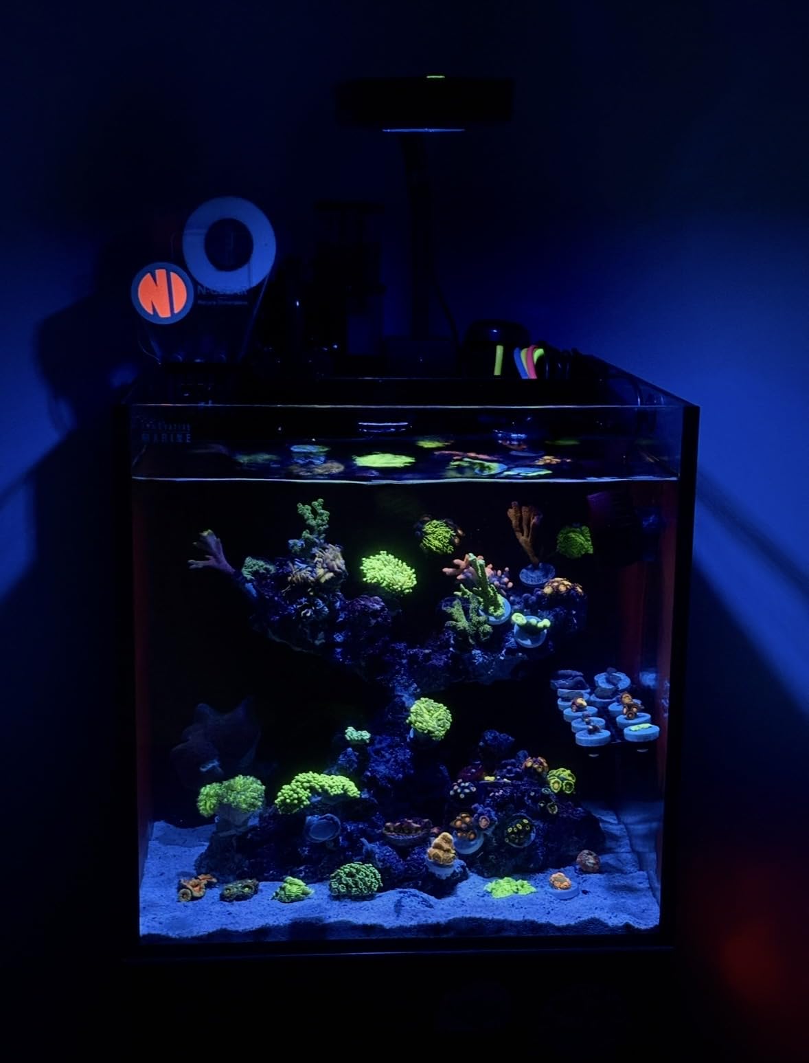 hygger Mini Wave Maker Aquarium Magnetic DC Powerhead with LED Display Controller for Saltwater Tank, 1600 GPH Aquarium Water Circulation Pump 5 to 30 Gallon Black customer photo 1