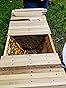 Top Bar Hive Beekeeping kit customer photo 2