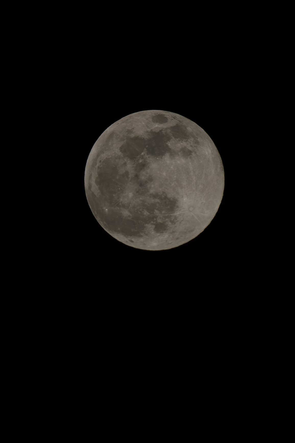 RF24-105mm F4-7.1 is STM (4111C002) customer photo 1