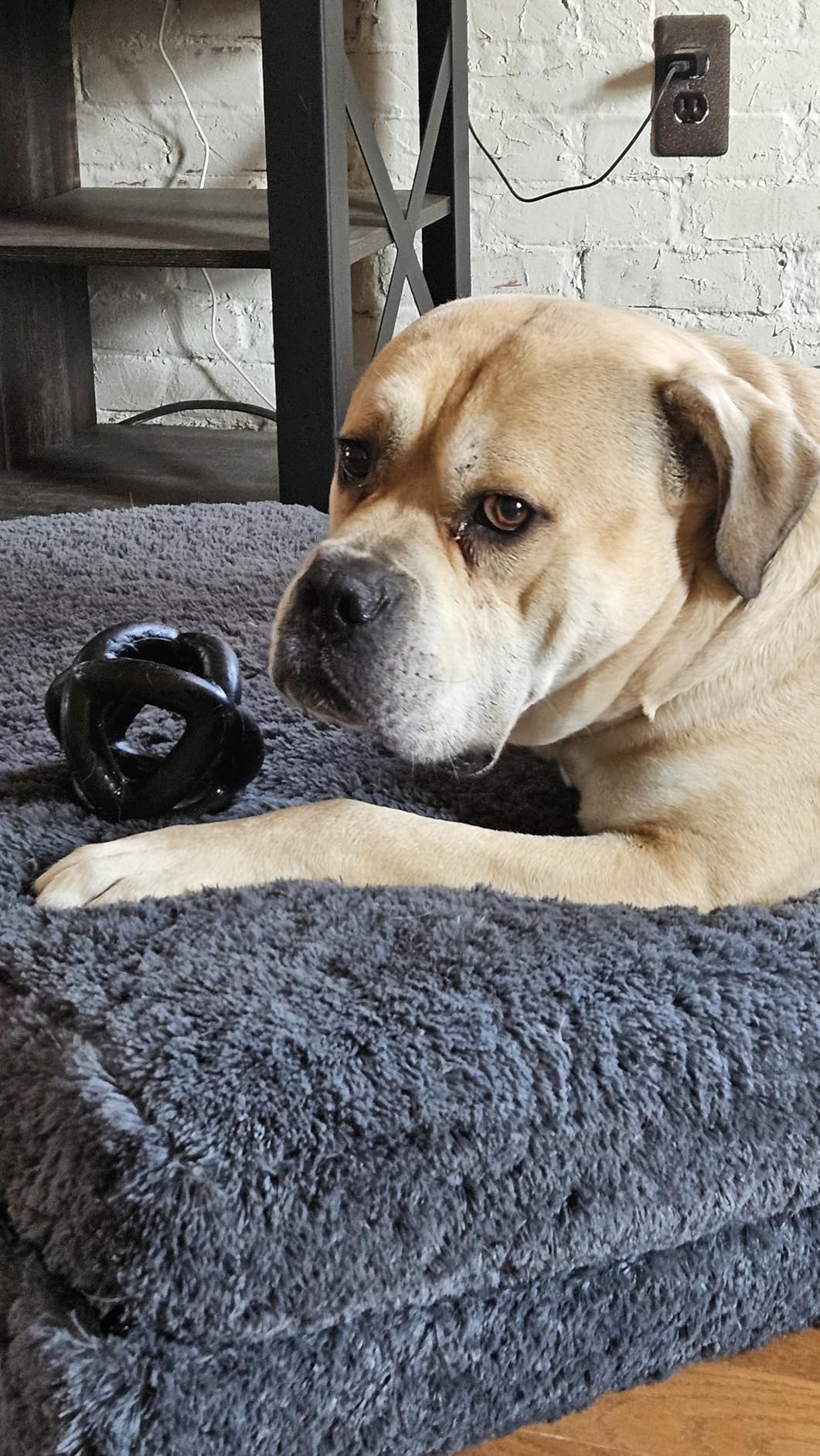 Monster K9 Ring Ball - for Toughest Chewers - Lifetime Guaranteed - Durable Dog Toy for Aggressive Chewers - Safe, Non-Toxic Natural Rubber - Chew, Tug & Fetch - Heavy Duty - 5.5