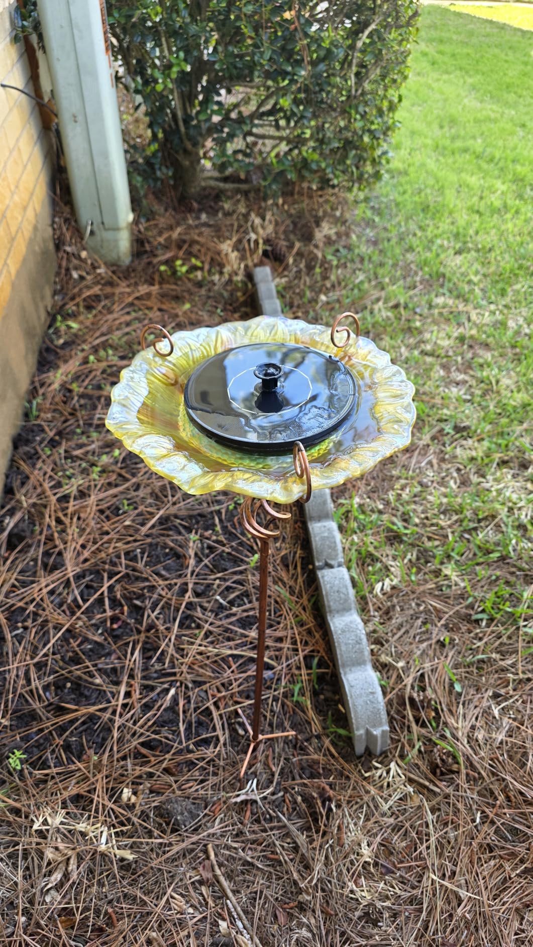 Mademax Solar Bird Bath Fountains, Upgrade 1.4W Solar Fountain Pump with 6 Nozzles, Free Standing Floating Solar Powered Water Fountain Pump for Bird Bath, Garden, Pond, Pool, Outdoor customer photo 2