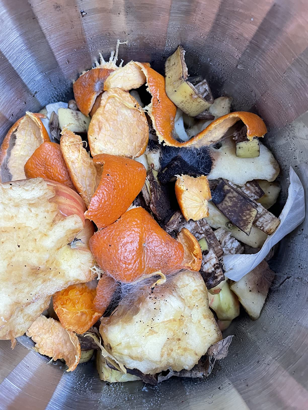 10 Best Kitchen Compost Bins (April 2026) Expert Picks