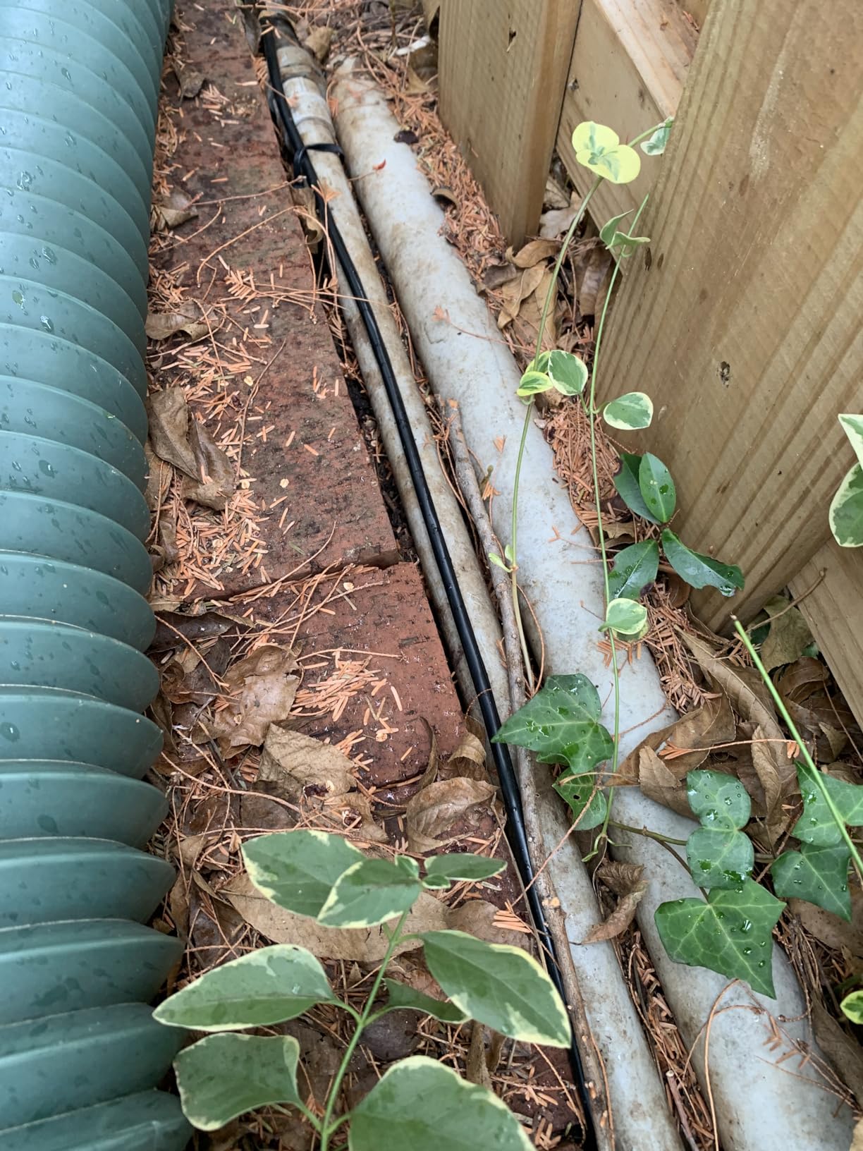 GEARit Cat6 Outdoor Ethernet Cable (150ft) 23AWG Pure Copper, FTP, LLDPE, Waterproof, Direct Burial, In-Ground, UV Resistant, POE, Network, LAN, Internet, Cat 6, Cat6 Cable - 150 Feet customer photo 2