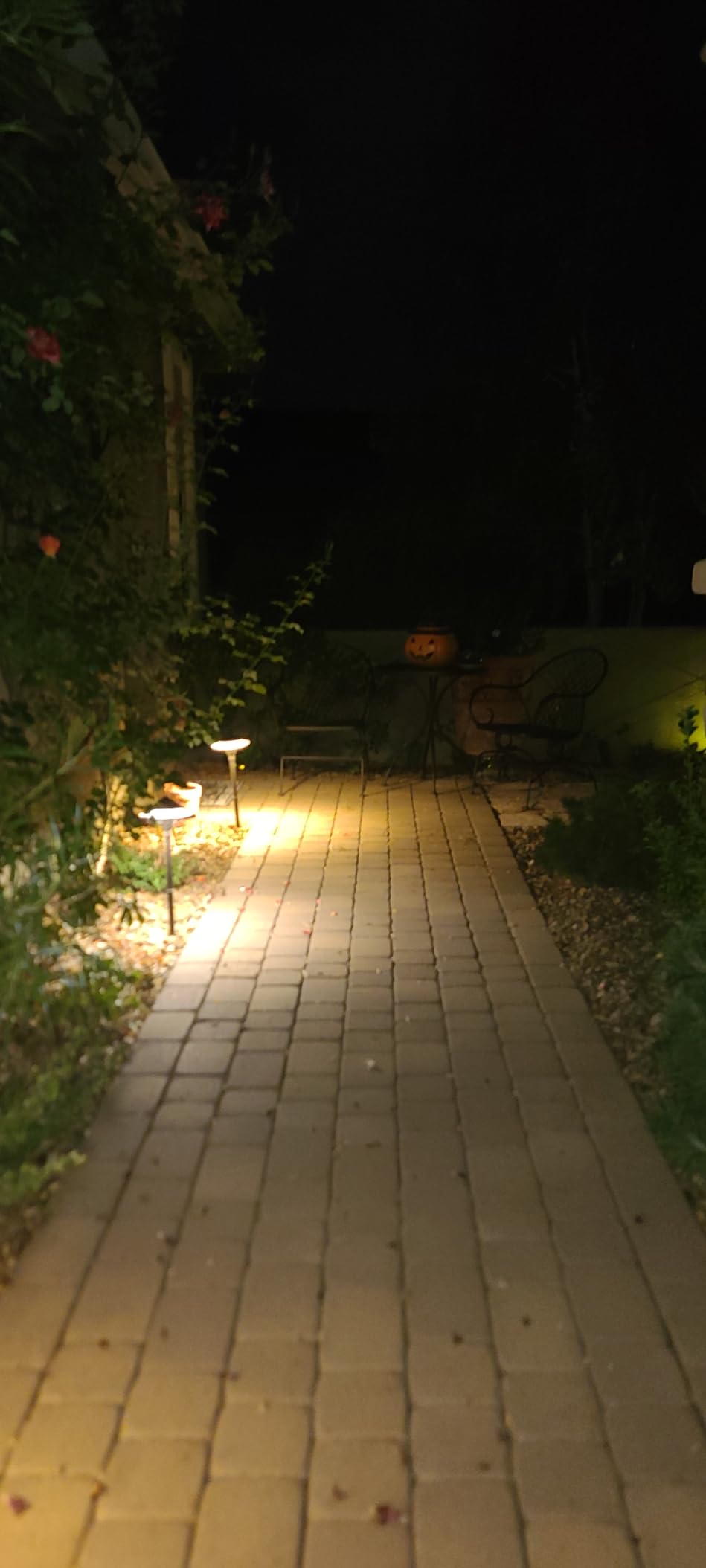 DEWENWILS 60W Low Voltage Landscape Transformer with Photocell Sensor, Low Voltage Transformer 120V AC to 12V AC, Landscape Lighting Transformer for Outdoor Lights, Garden Lights, Spotlight, UL Listed customer photo 2