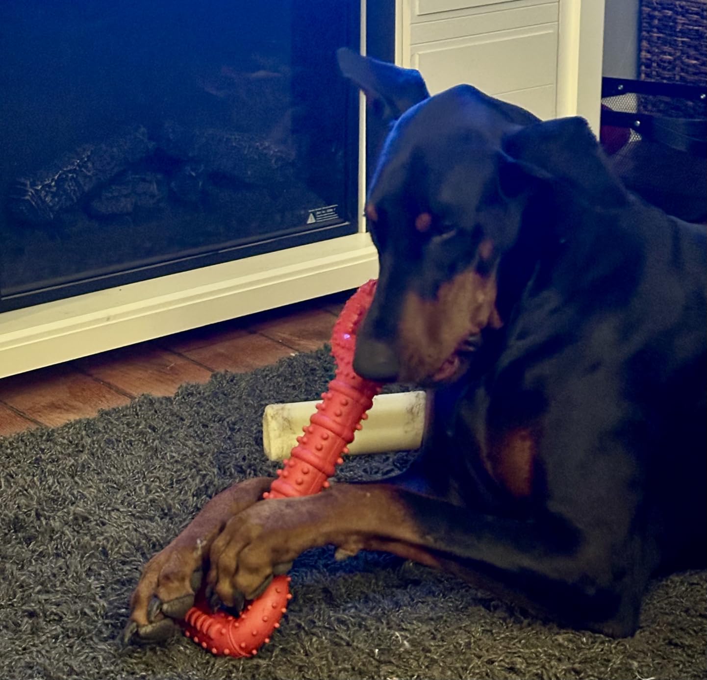 Feeko Dog Toys for Aggressive Chewers Large Breed, 15 inch Interactive Long Lasting Dogs Toy with Convex Design Natural Rubber Tug-of-war Toy for Medium Large Tooth Clean(Red) customer photo 1