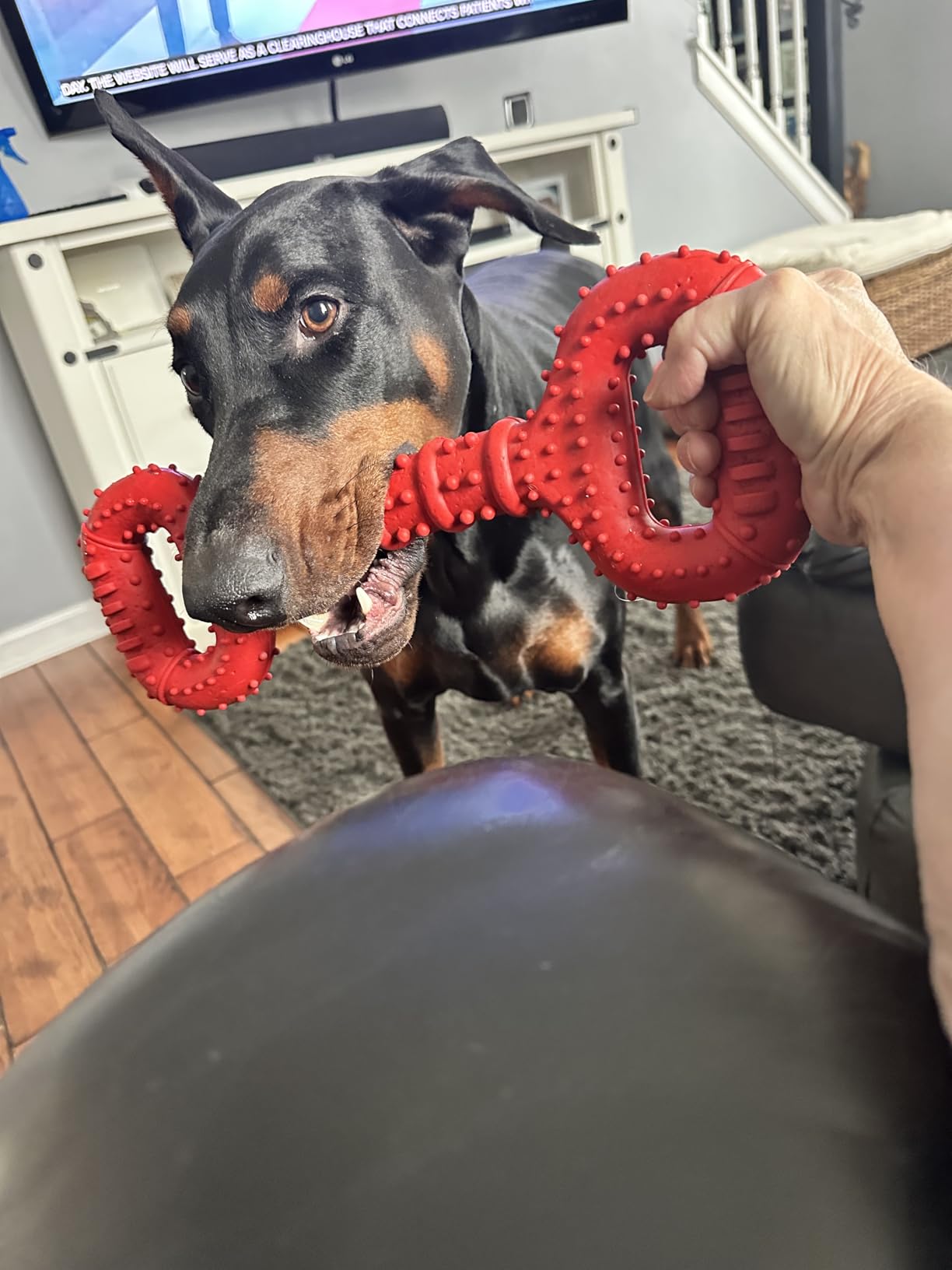Feeko Dog Toys for Aggressive Chewers Large Breed, 15 inch Interactive Long Lasting Dogs Toy with Convex Design Natural Rubber Tug-of-war Toy for Medium Large Tooth Clean(Red) customer photo 2