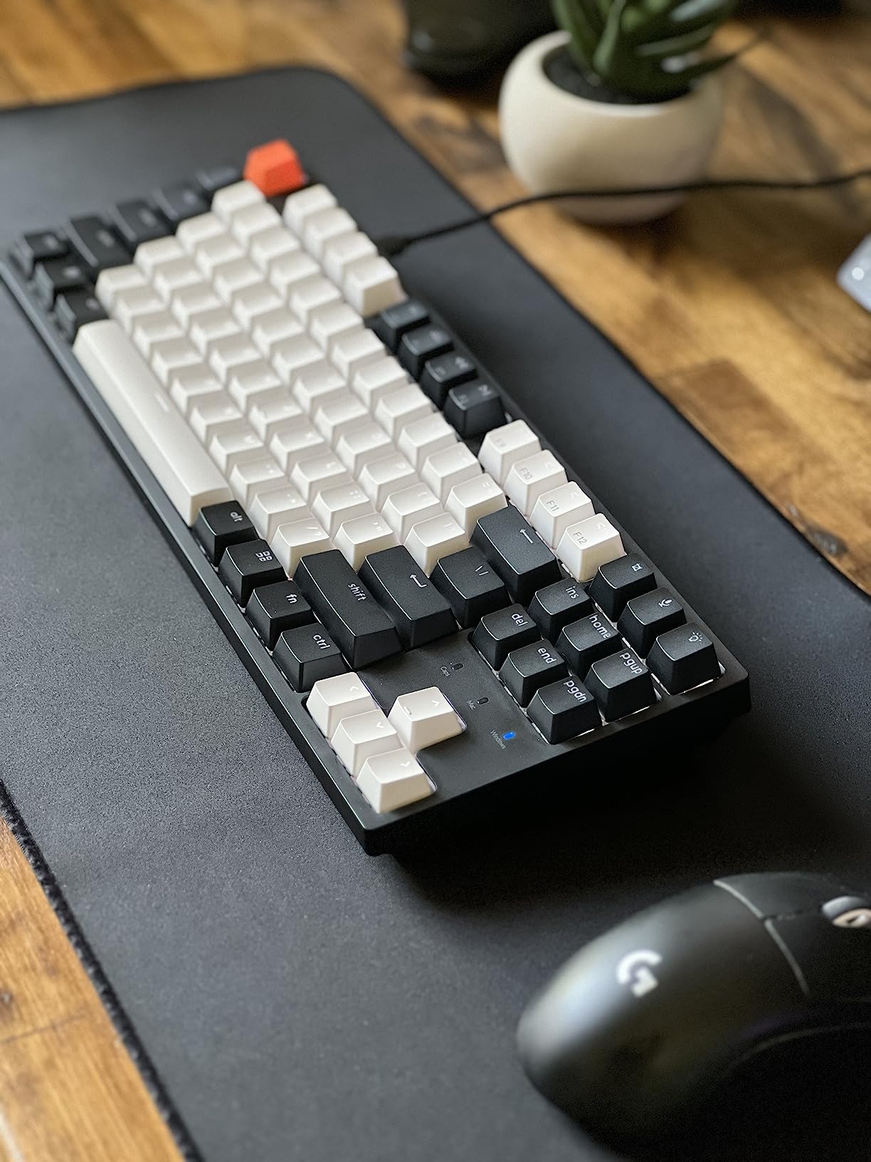 Keychron C1 Hot-swappable Wired Mechanical Keyboard with Gateron G Pro Red Switch/Double-Shot ABS Keycaps/White Backlight/USB Type-C Cable, Tenkeyless 87 Keys Computer Keyboard for Mac Windows PC customer photo 1