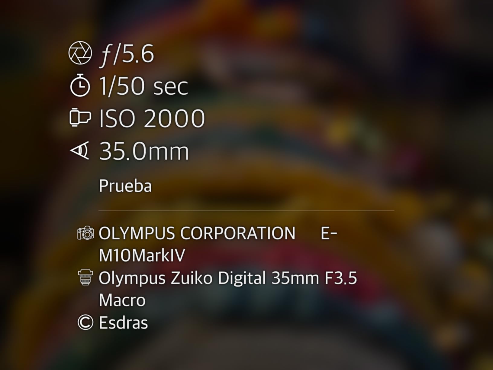 Olympus E-M10 Mark IV Silver Micro Four Thirds System Camera 20MP Sensor 5-Axis Image Stabilization 4K Video Wi-Fi customer photo 2