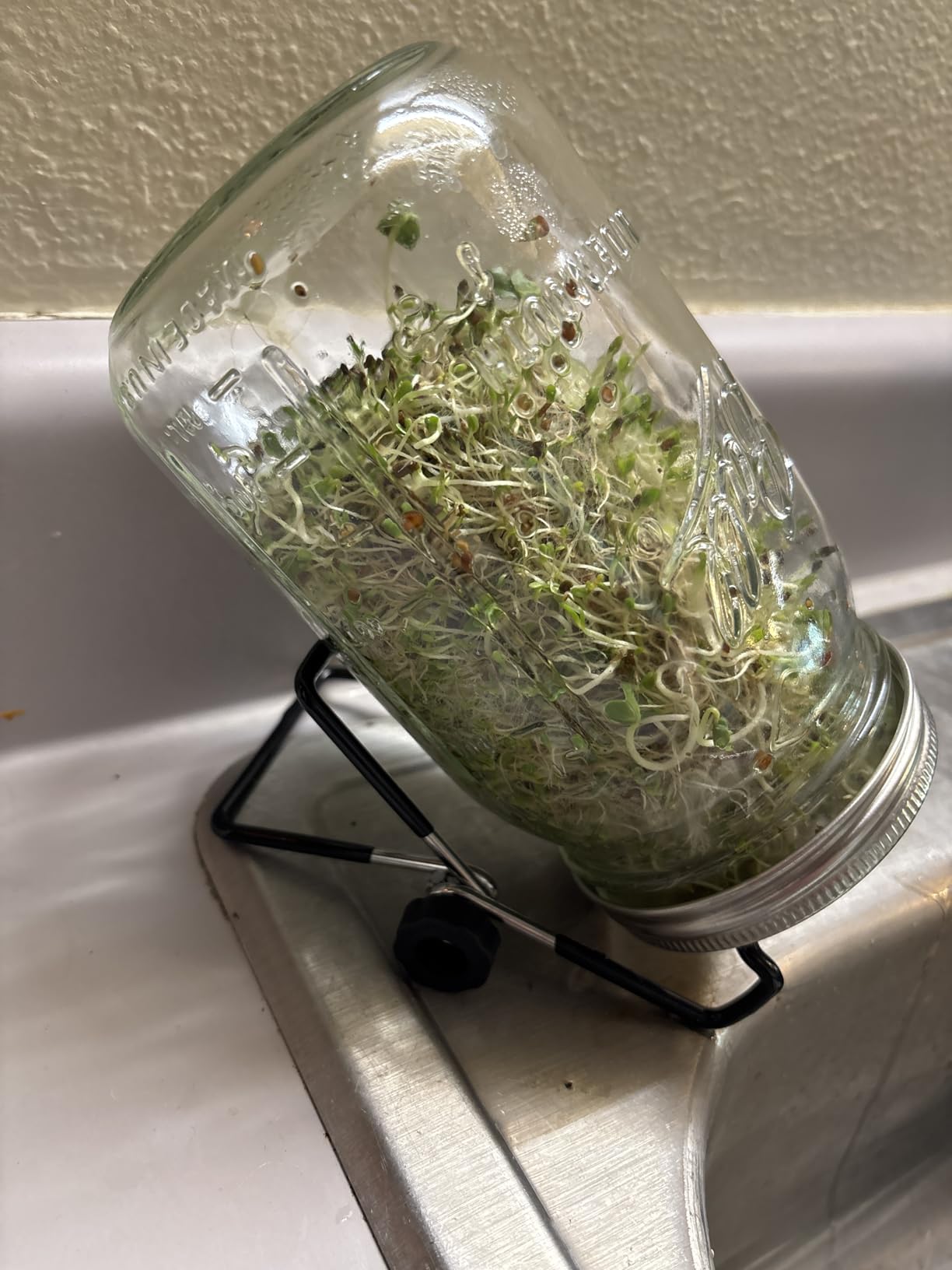 Sprouting Jar Lid (32oz Glass Jars) with 4 Pack Stainless Steel Sprouting Stands for Wide and Wide Mouth Mason Jar for Growing Organic Sprouts, Stainless Steel, 4 Pack customer photo 1