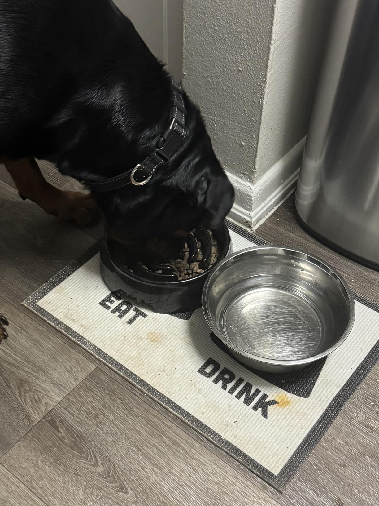 Extra-Large Durable ABS Large Slow Feeder Dog Bowls(10 Cups Capacity) Stop Bloat Bowl Anti-Choking &Anti-Gulping & Fun Feeding Bowl (Large, Black) customer photo 1