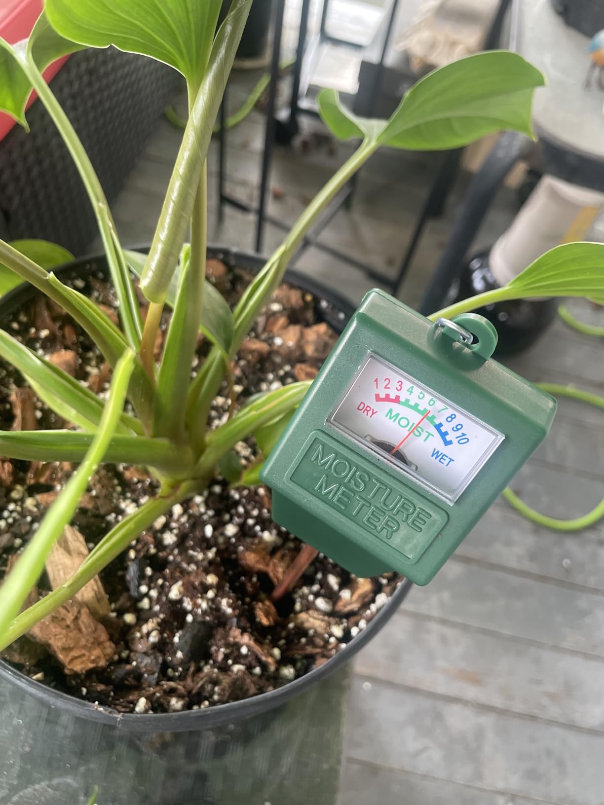 Soil Moisture Meter,Plant Hygrometer Moisture Sensor Plant Water Monitor for Potted Plants,Garden,Farm, Lawn(No Battery Needed) customer photo 1
